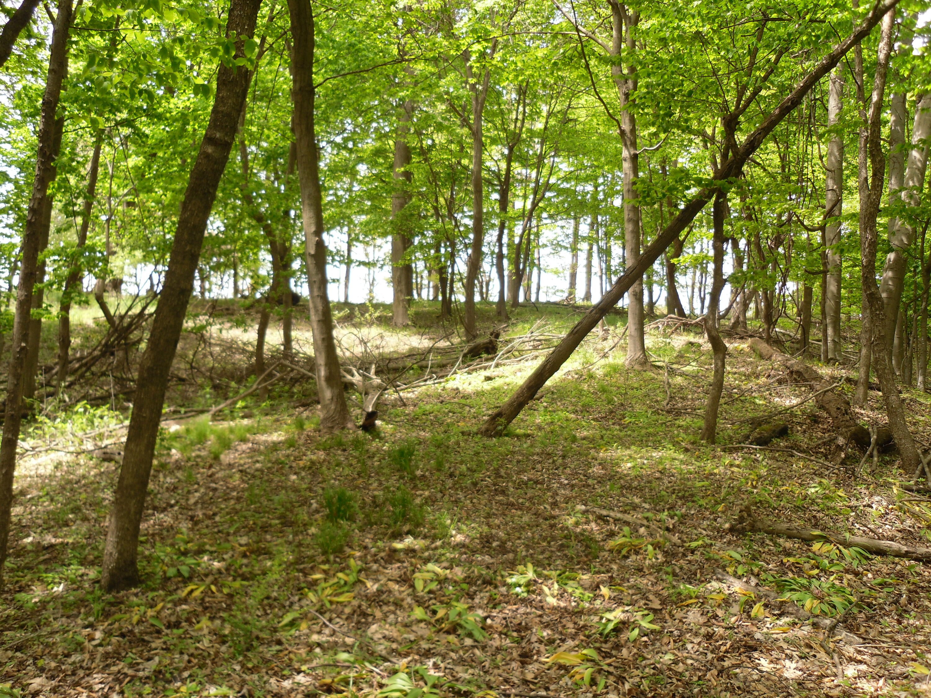 S Lakeshore Drive Ludington MI 49431