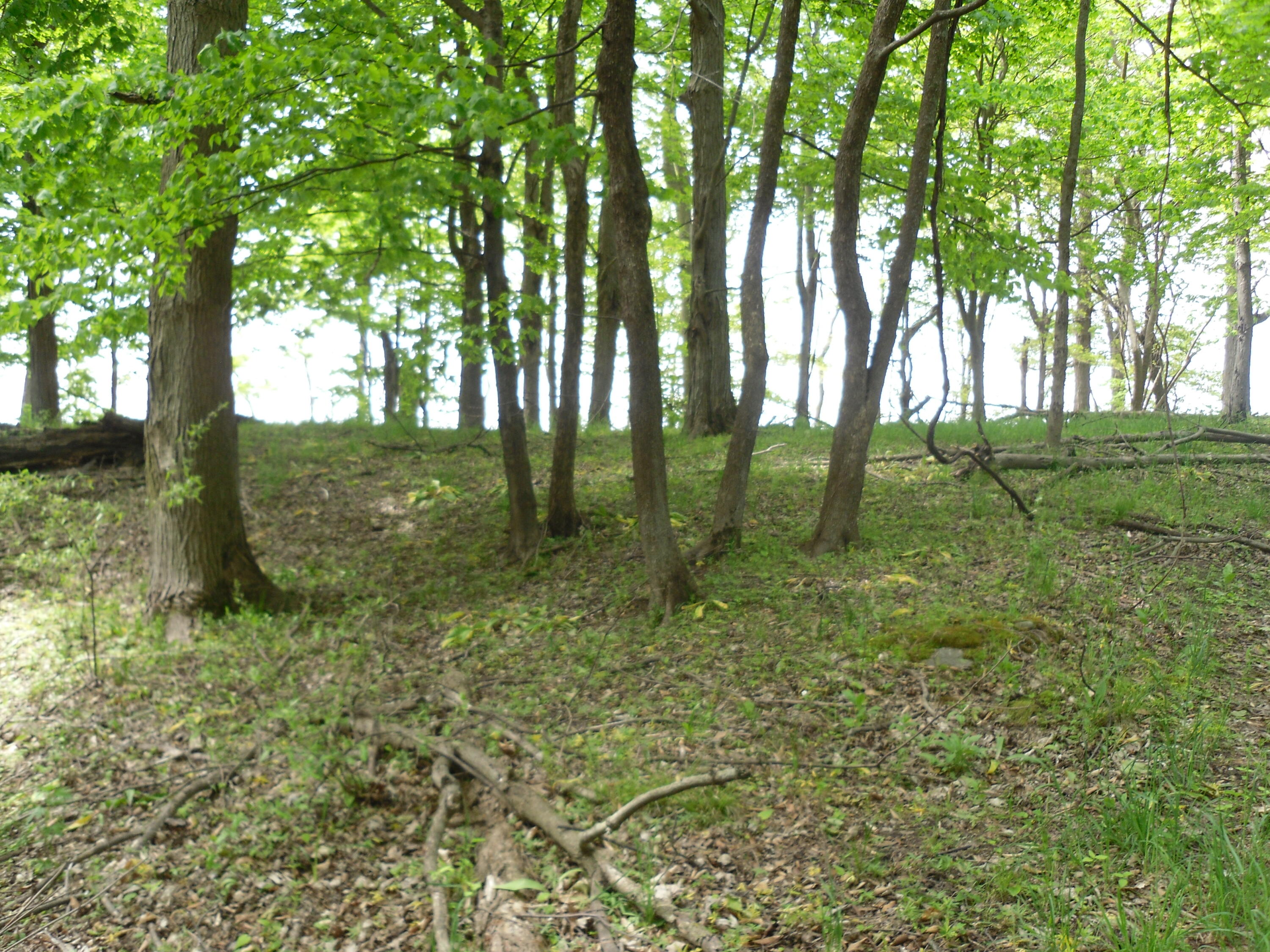 S Lakeshore Drive Ludington MI 49431