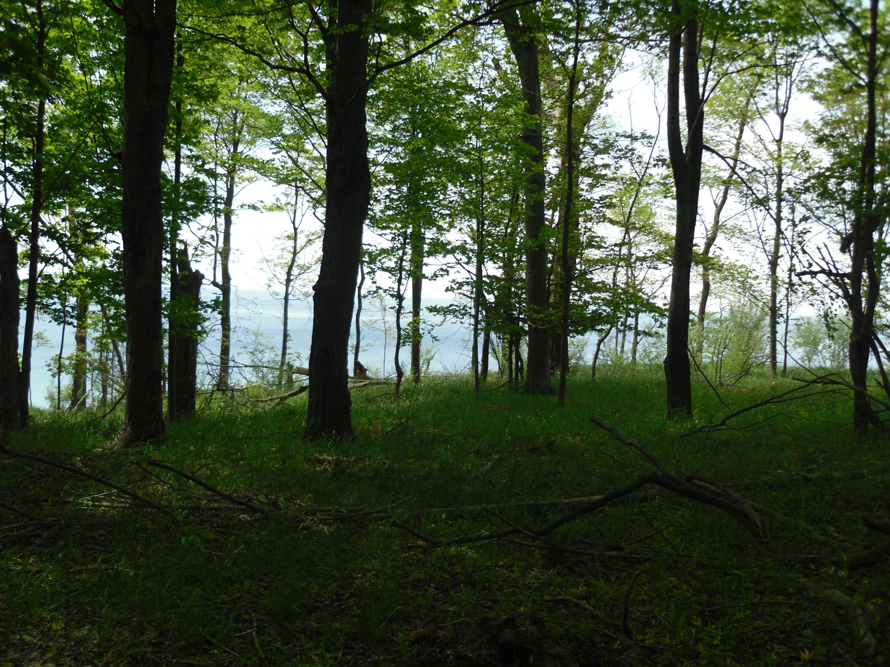 S Lakeshore Drive Ludington MI 49431
