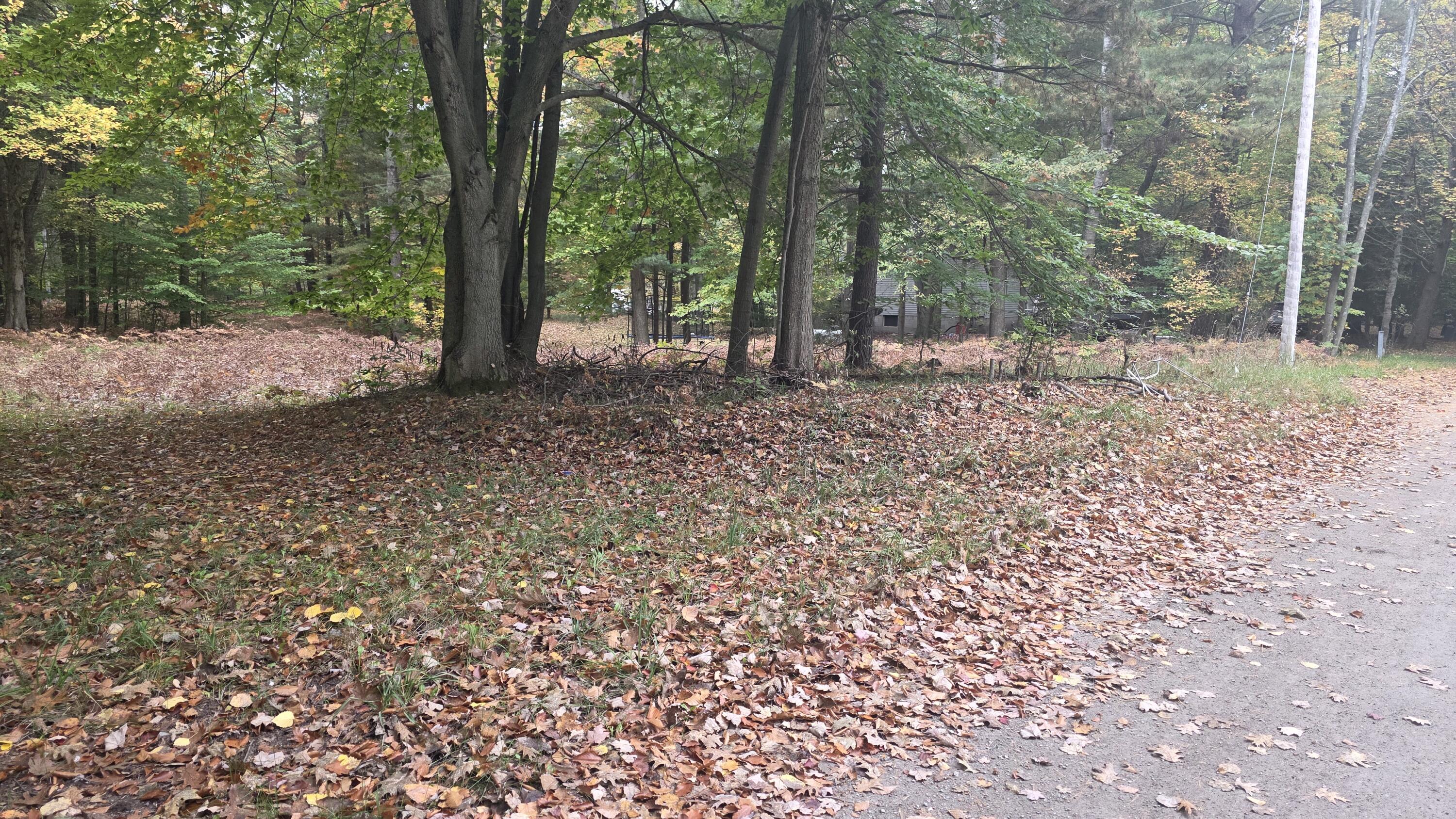 6520 Maple Street Ludington MI 49431