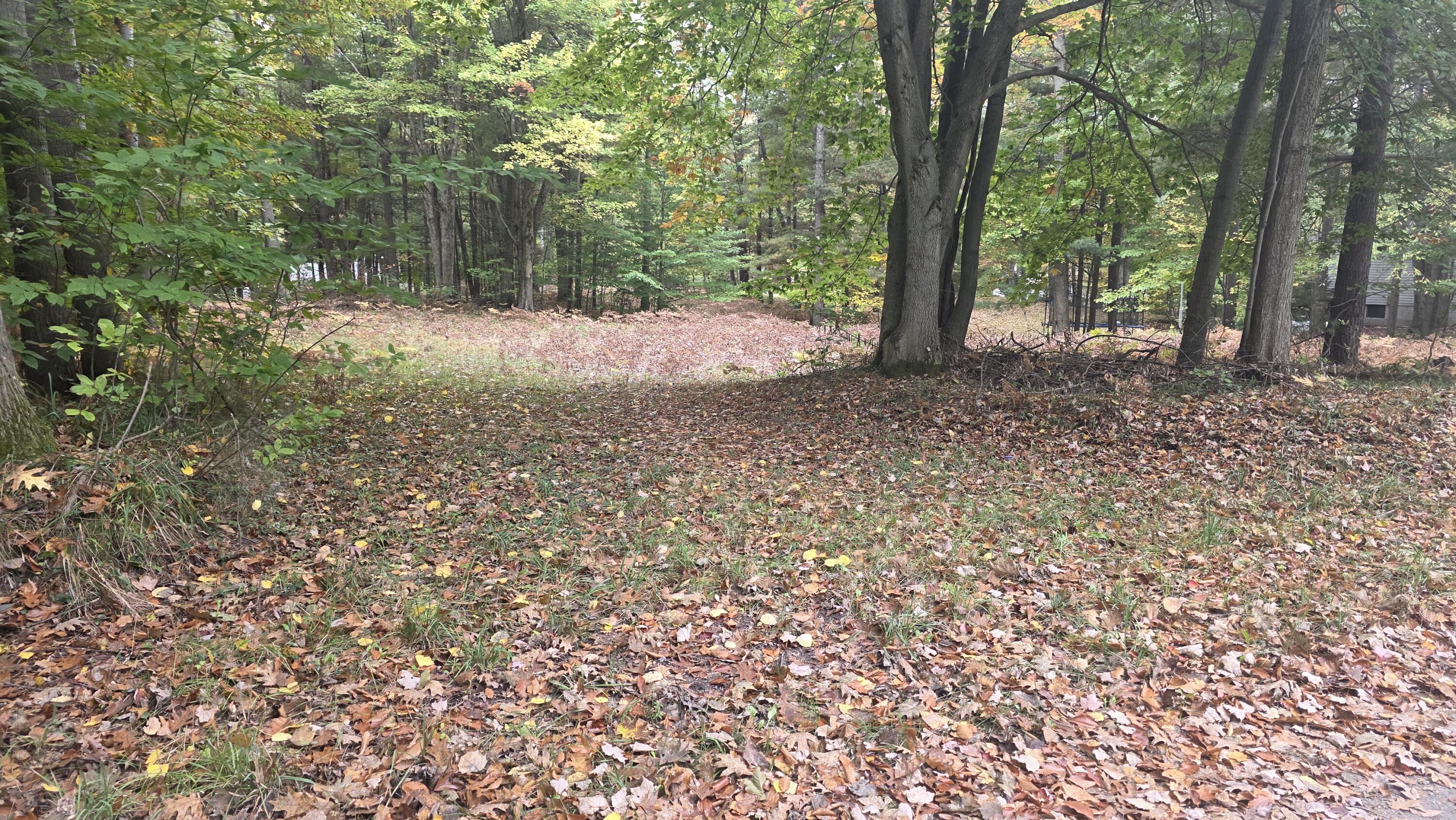 6520 Maple Street Ludington MI 49431