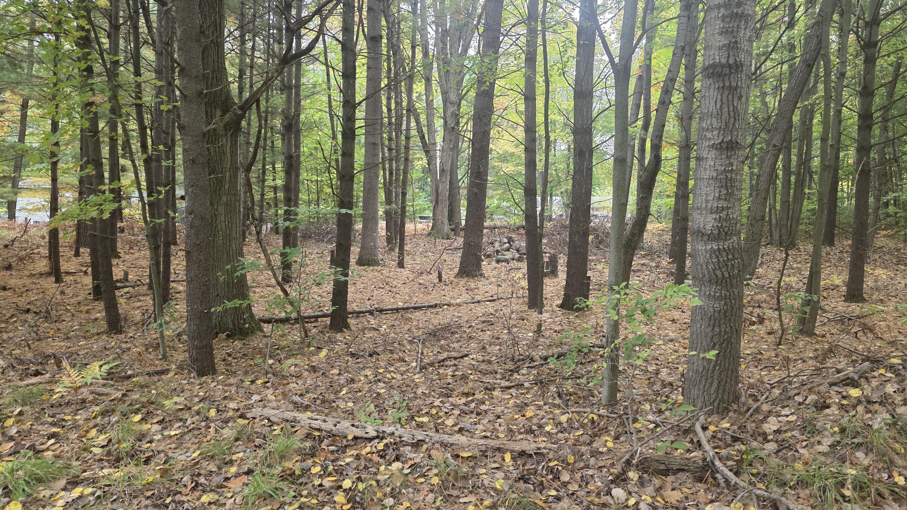 6520 Maple Street Ludington MI 49431