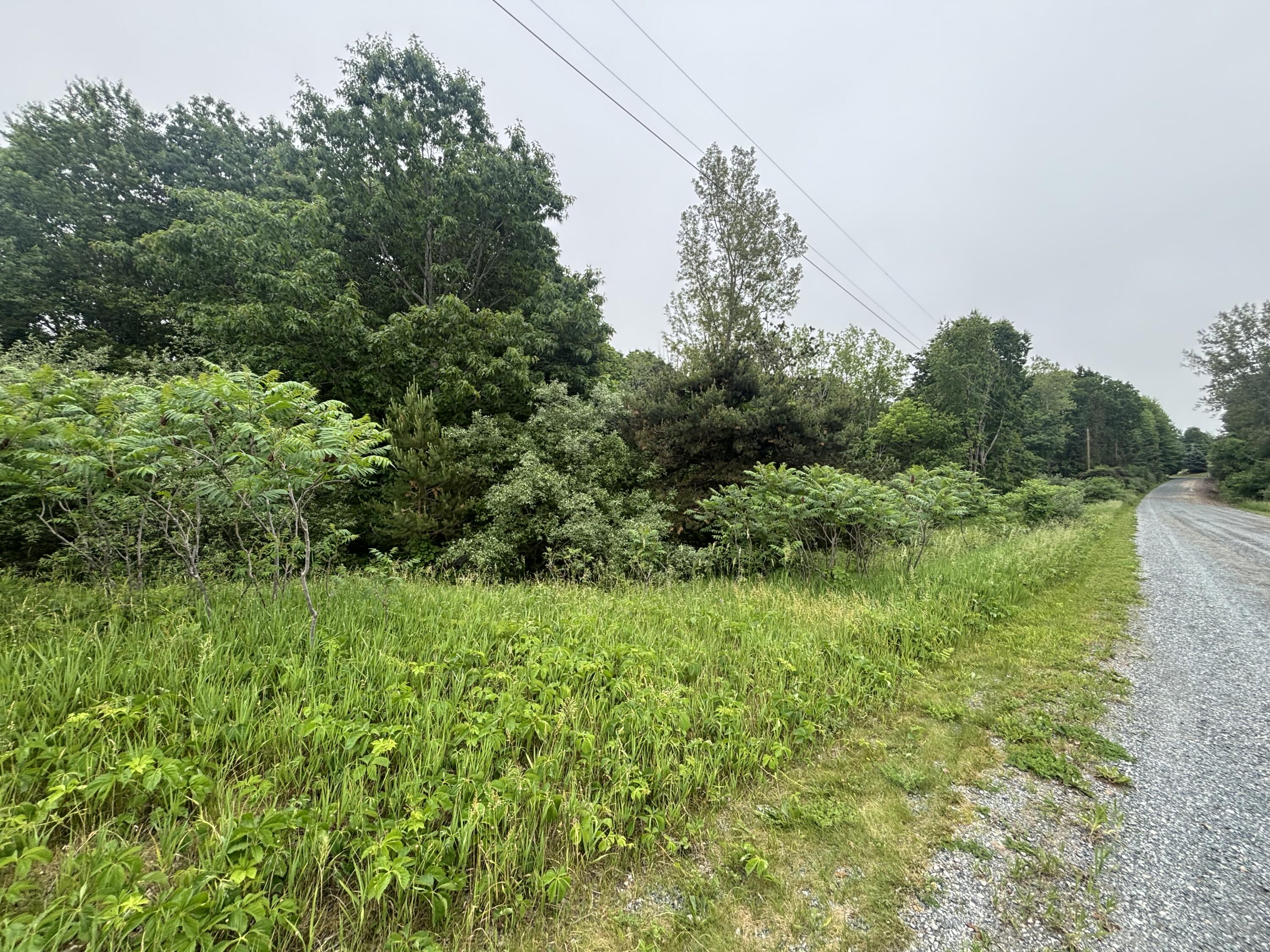 V/l 2.6a Ironwood Drive Ludington MI 49431