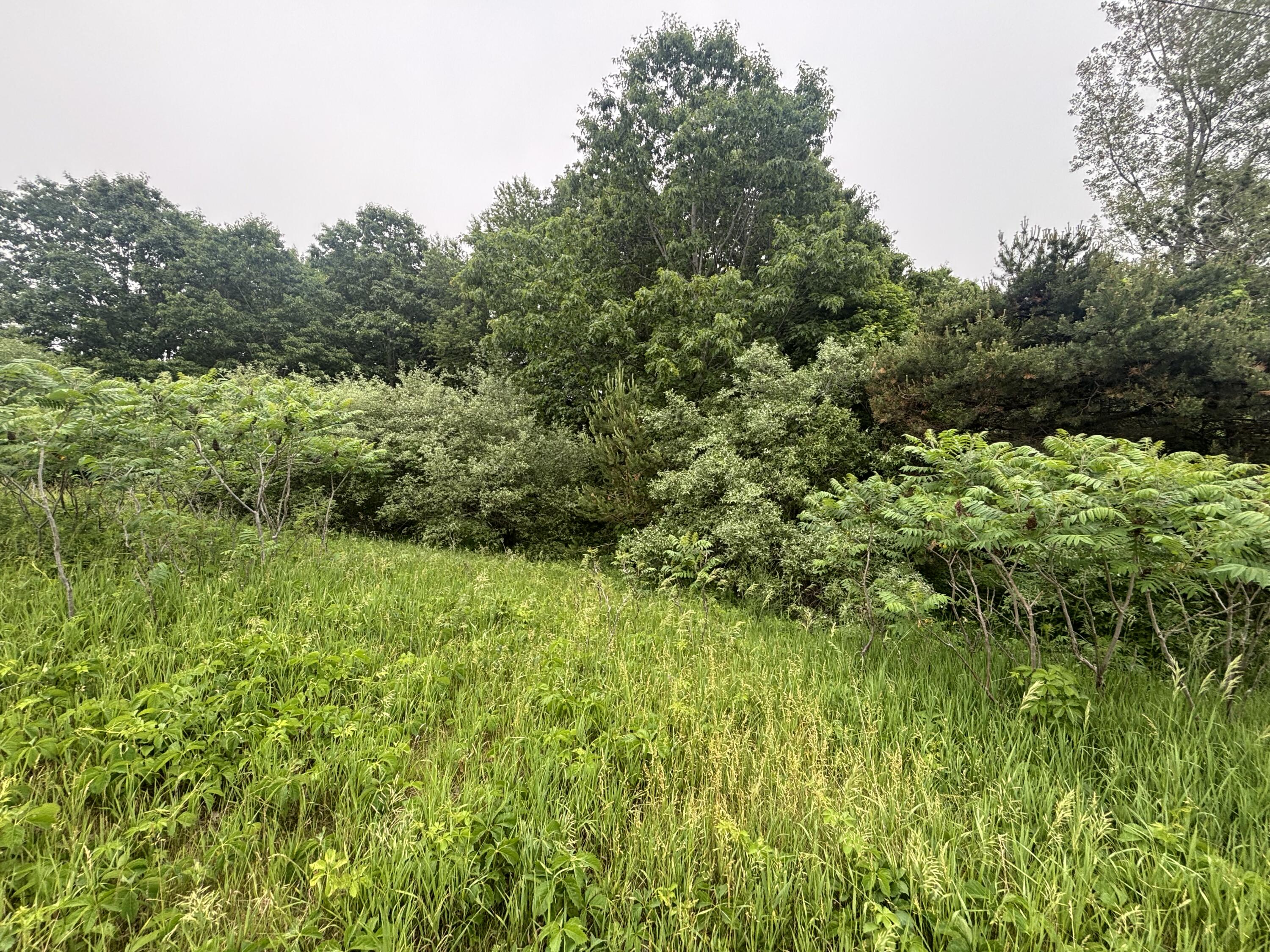 V/l 2.6a Ironwood Drive Ludington MI 49431