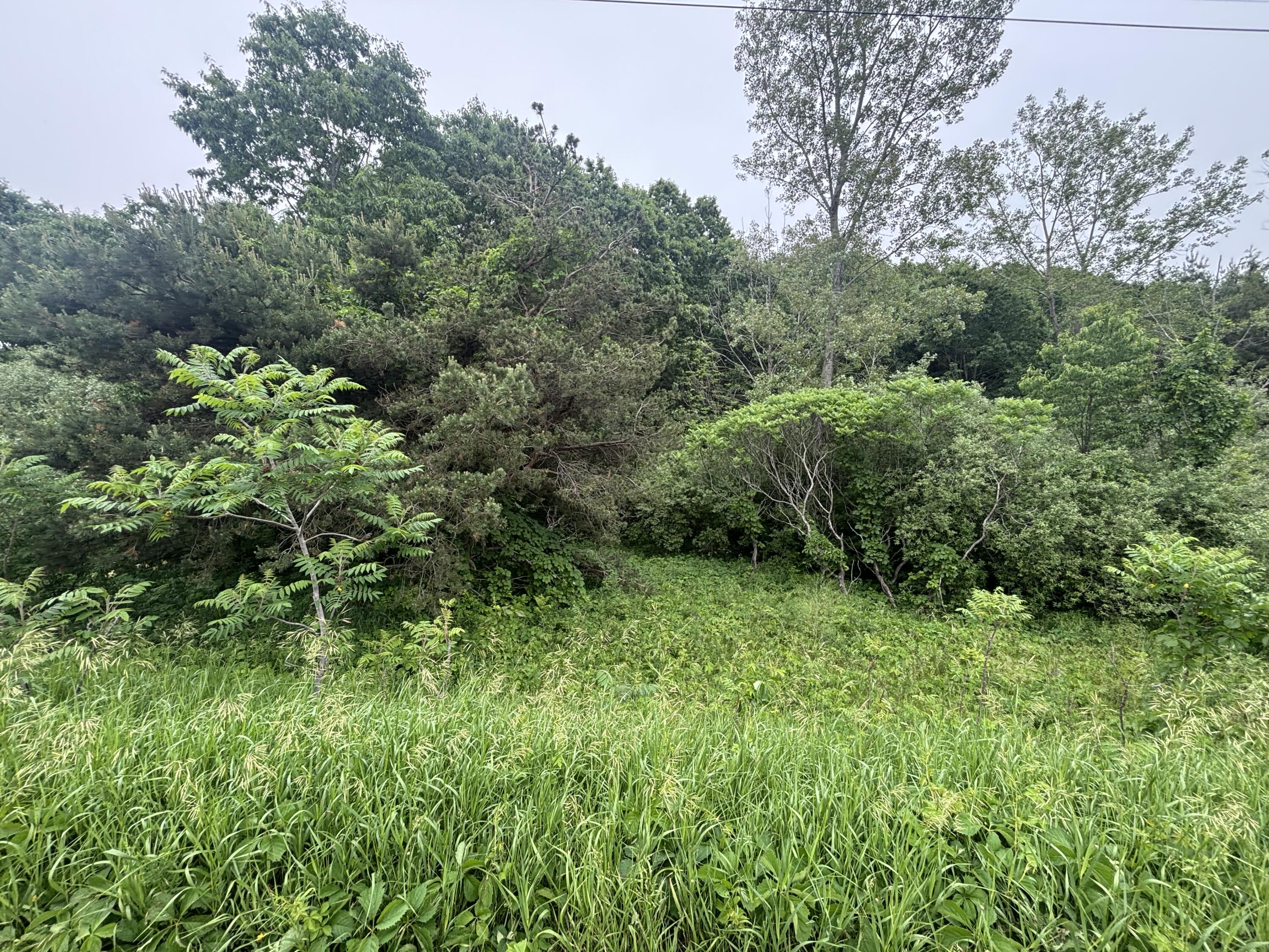 V/l 2.6a Ironwood Drive Ludington MI 49431