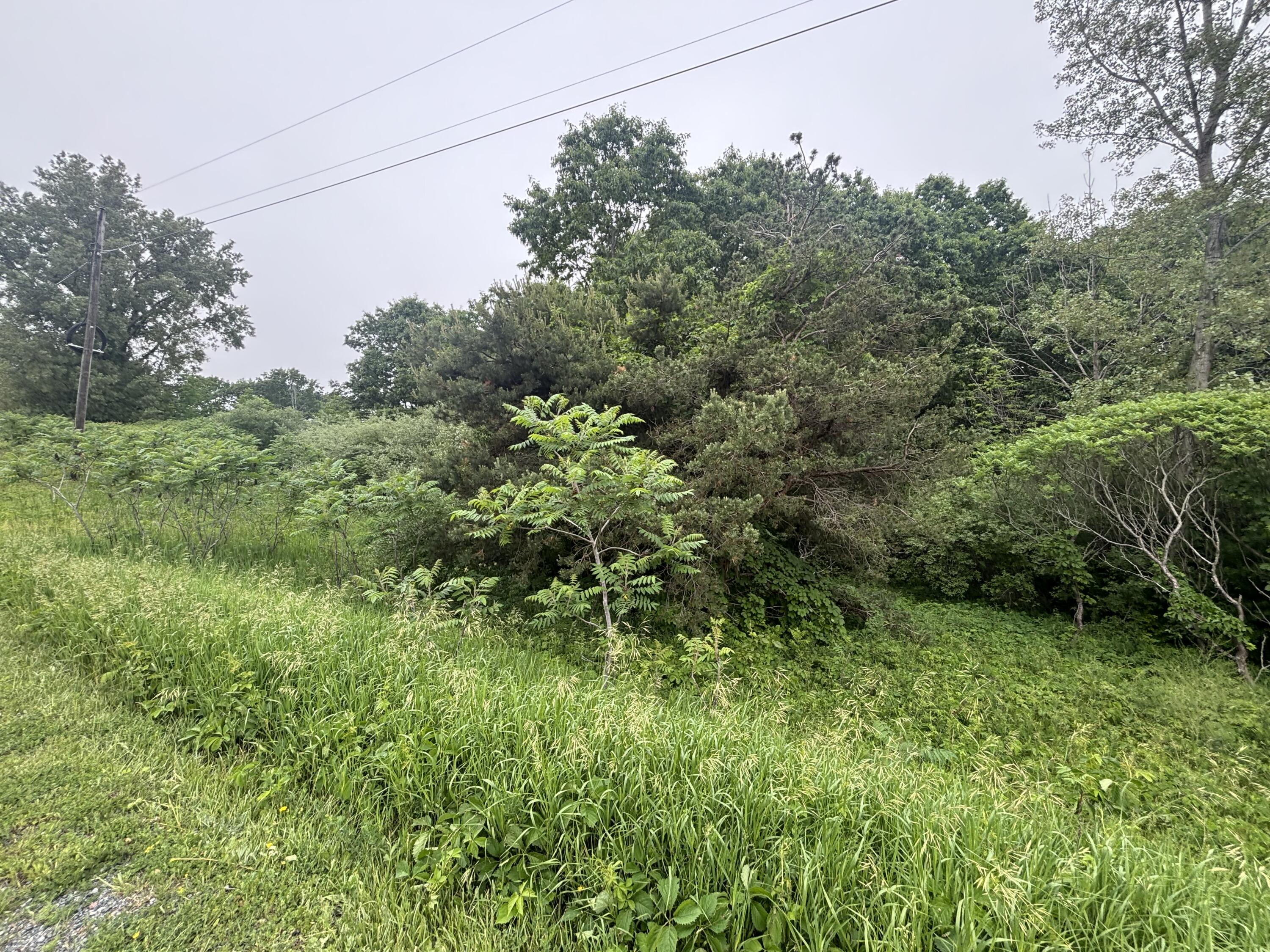 V/l 2.6a Ironwood Drive Ludington MI 49431