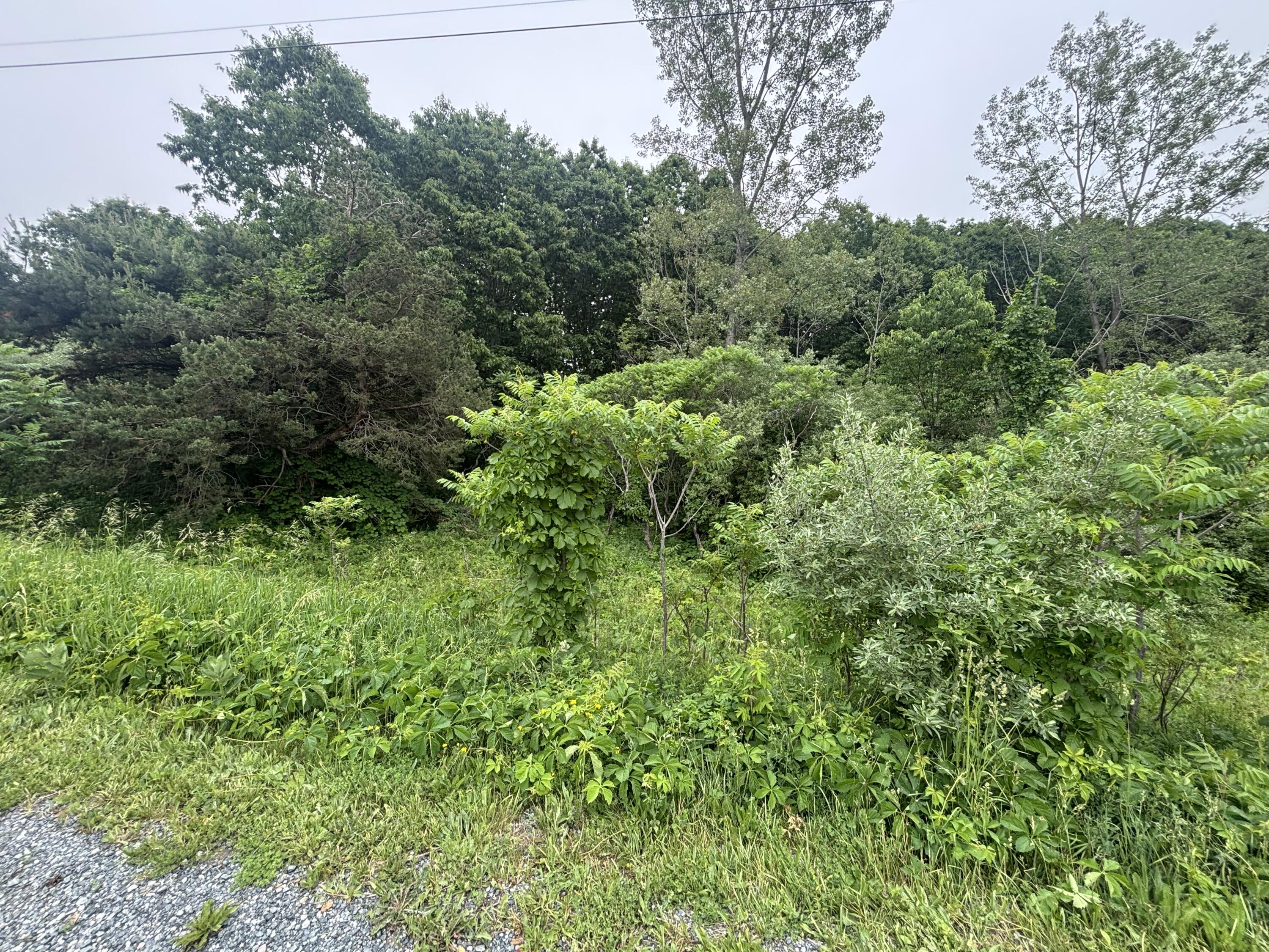V/l 2.6a Ironwood Drive Ludington MI 49431