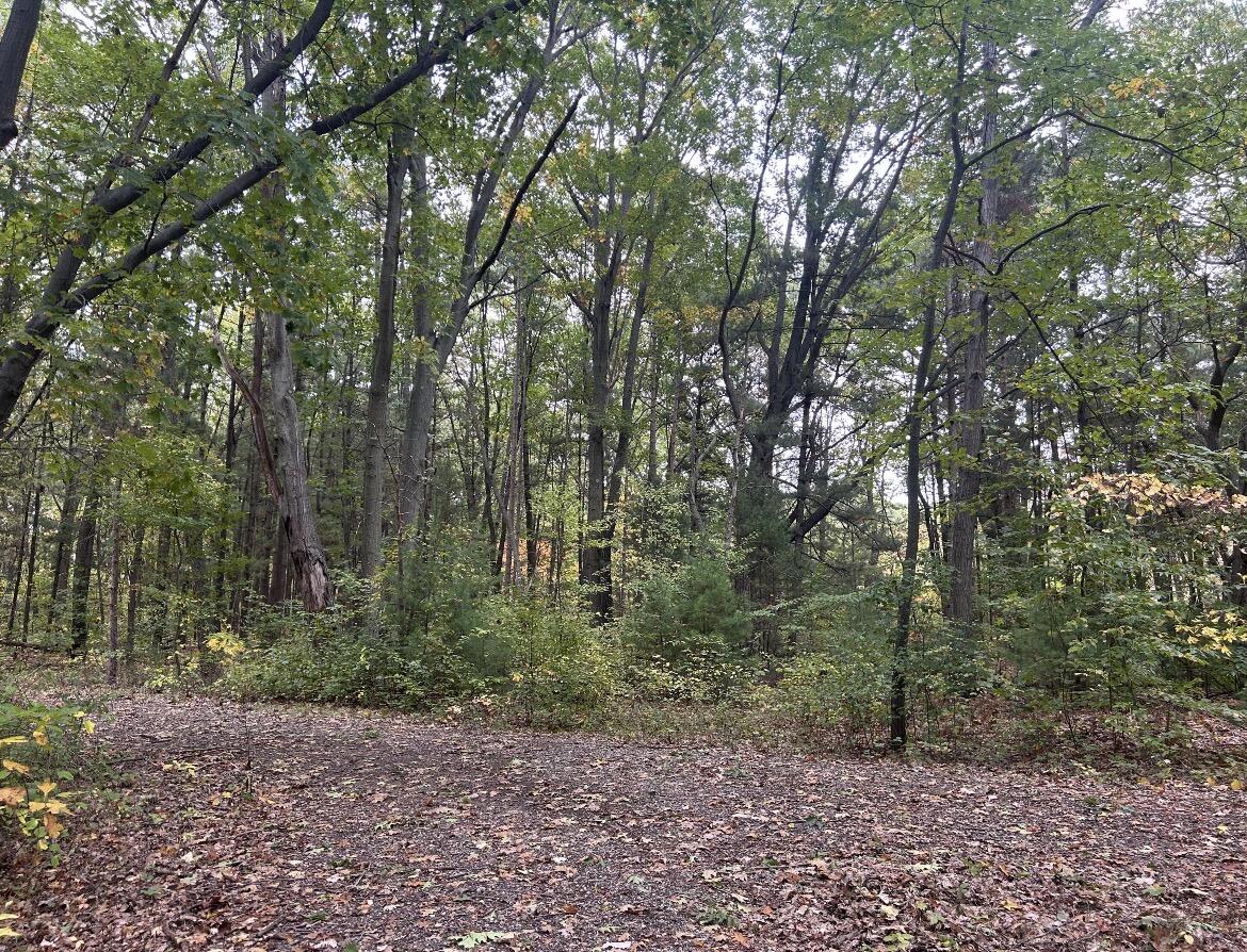 4051 Highview Path Coloma MI 49038