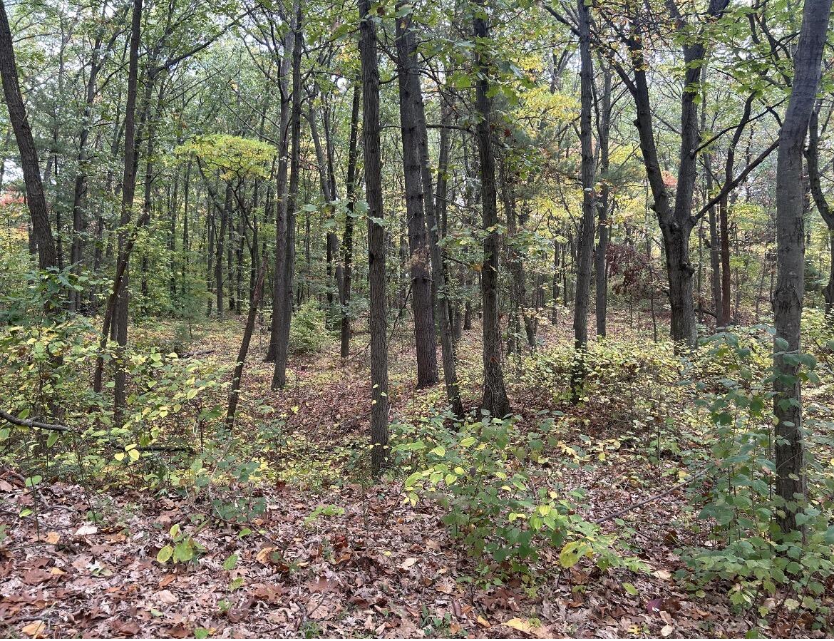 4051 Highview Path Coloma MI 49038