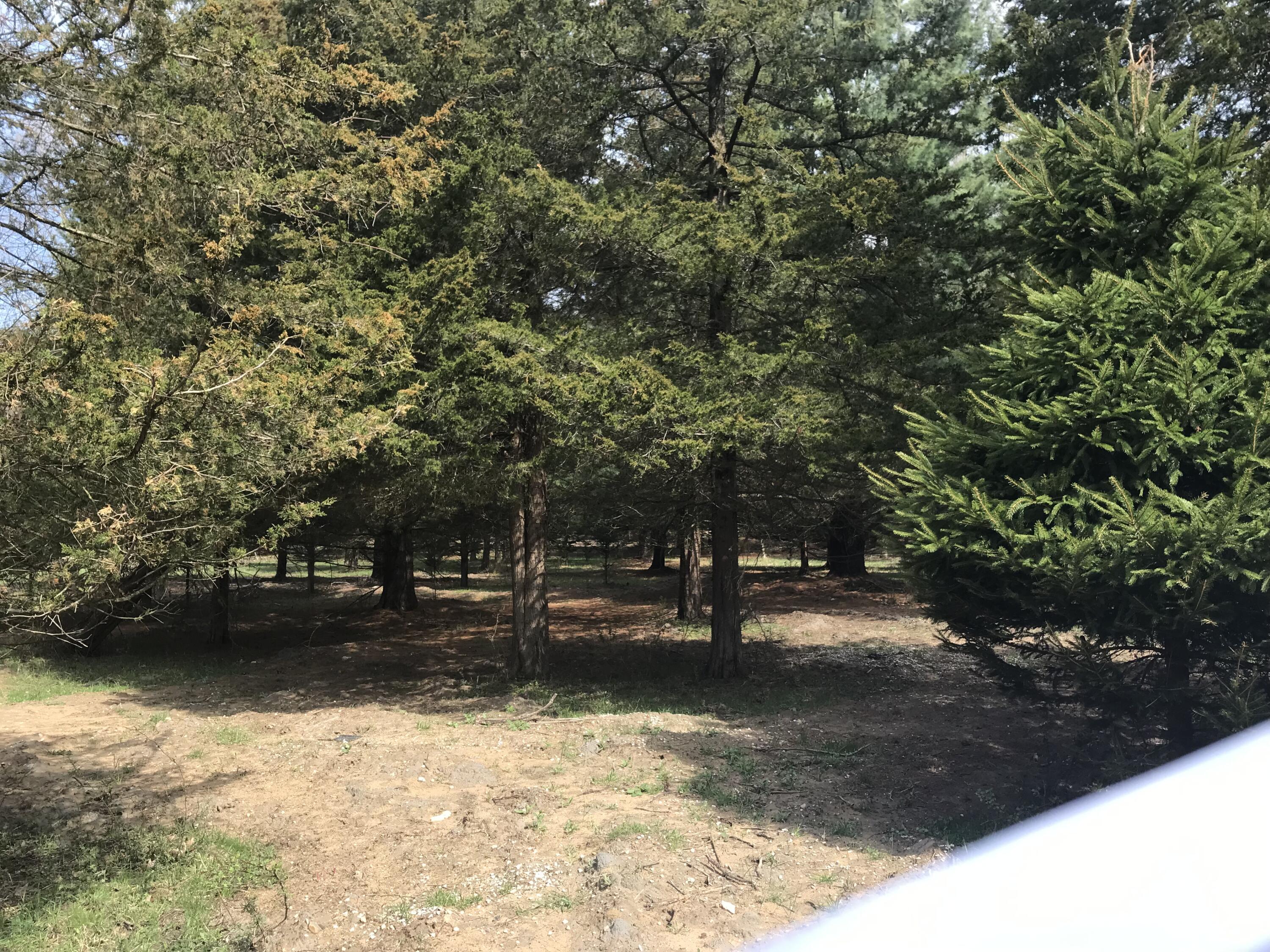 Lot 2 Creekwood Drive South Haven MI 49090