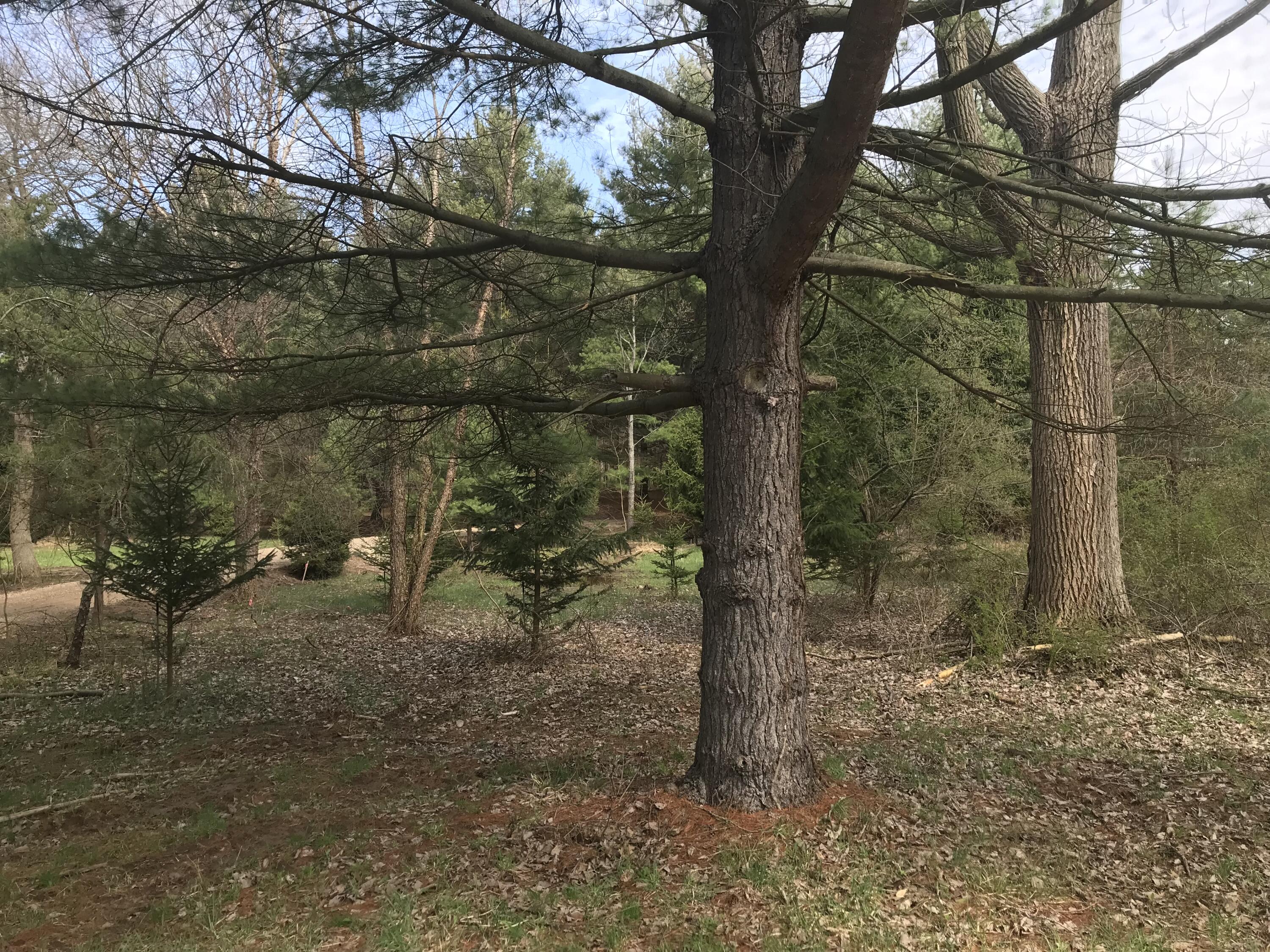 Lot 2 Creekwood Drive South Haven MI 49090
