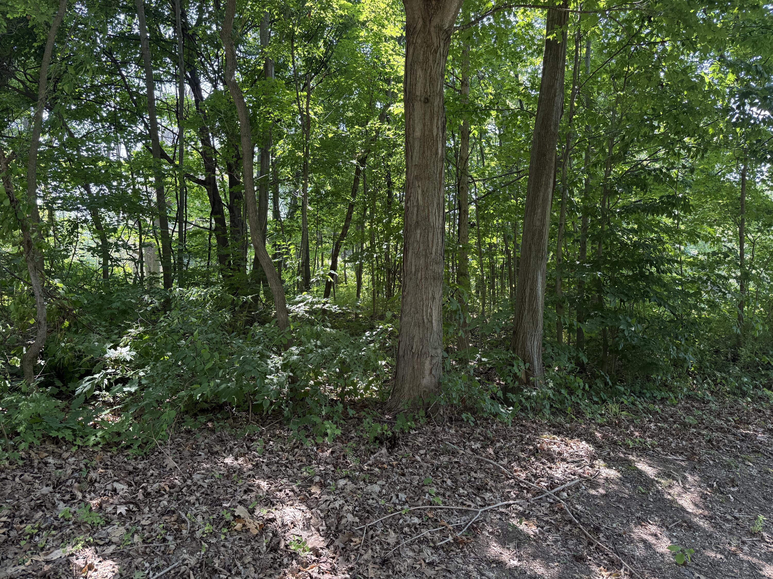 3190/3198 Prospect Avenue Coloma MI 49038
