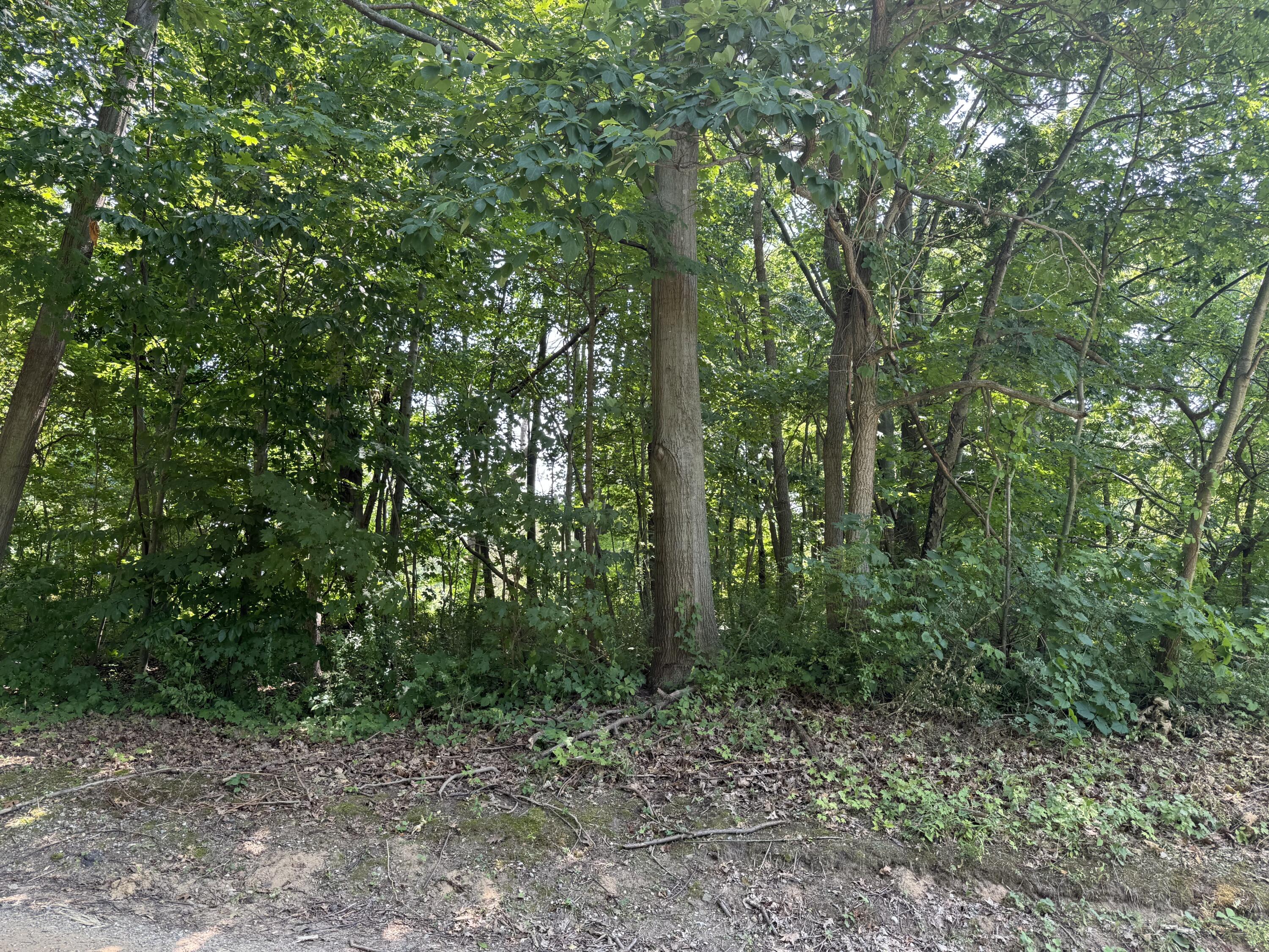 3190/3198 Prospect Avenue Coloma MI 49038