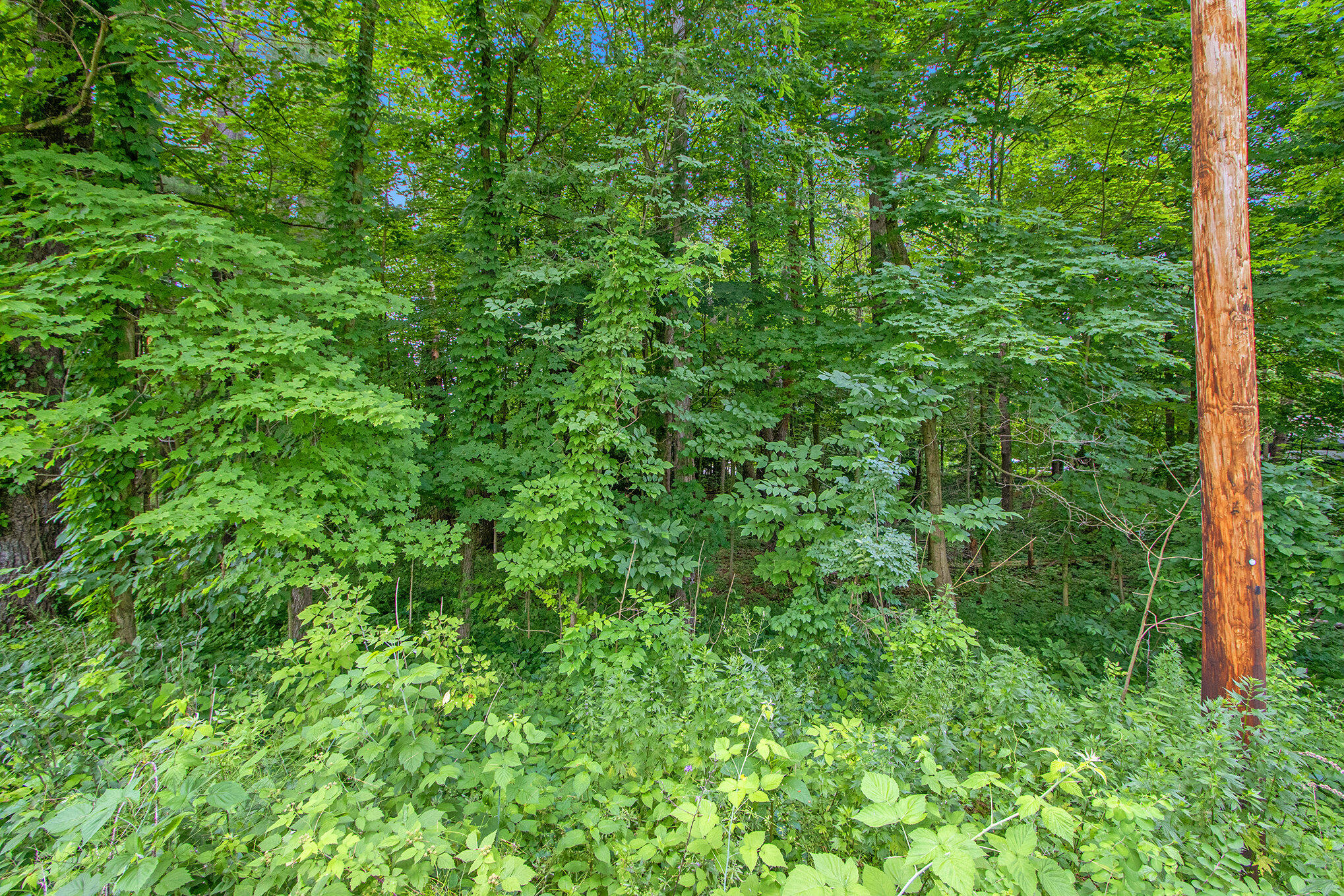 171 Thomas Street Allegan MI 49010