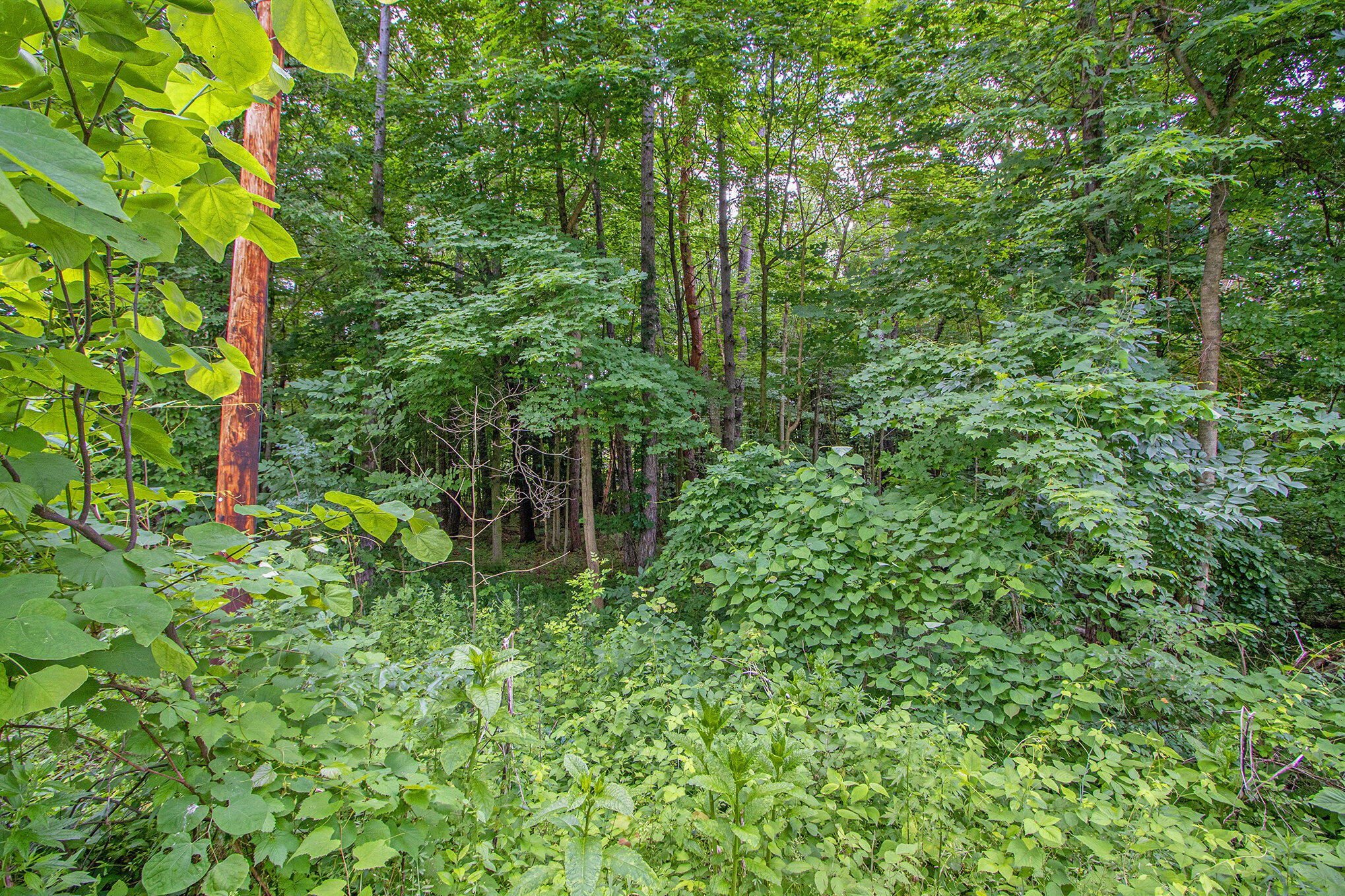 171 Thomas Street Allegan MI 49010
