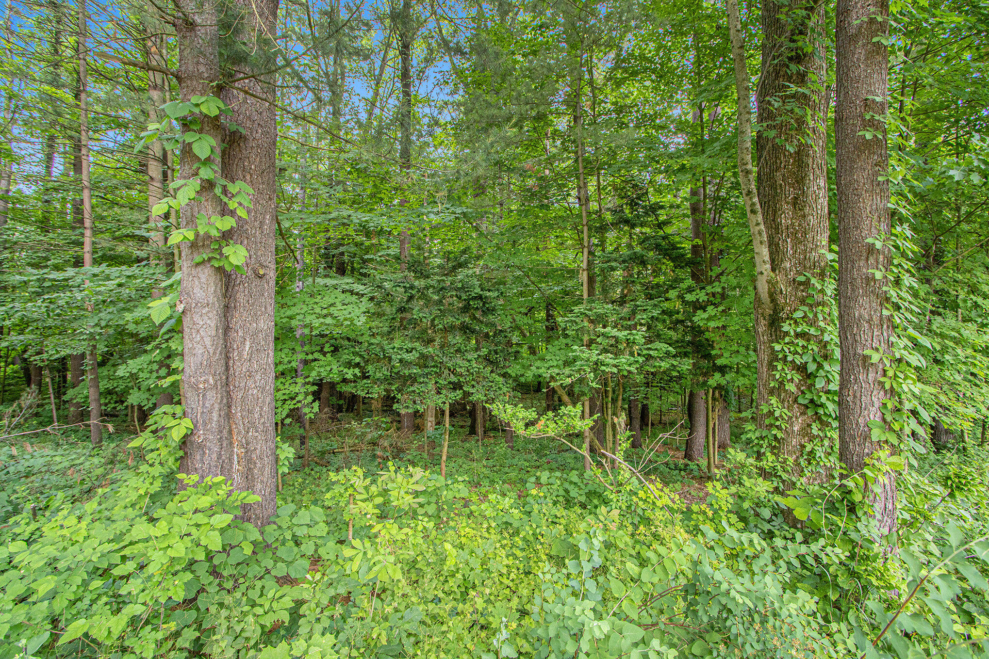 171 Thomas Street Allegan MI 49010