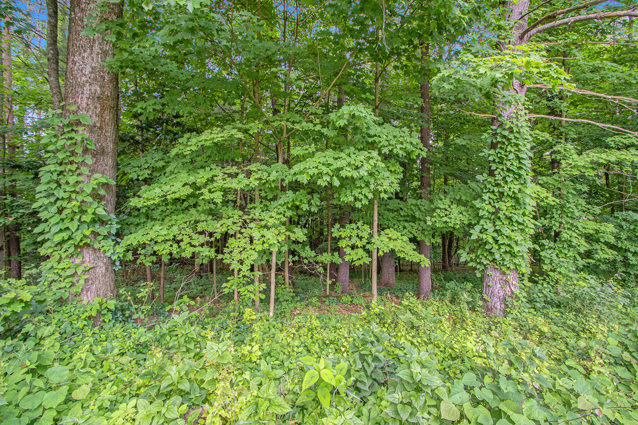 171 Thomas Street Allegan MI 49010