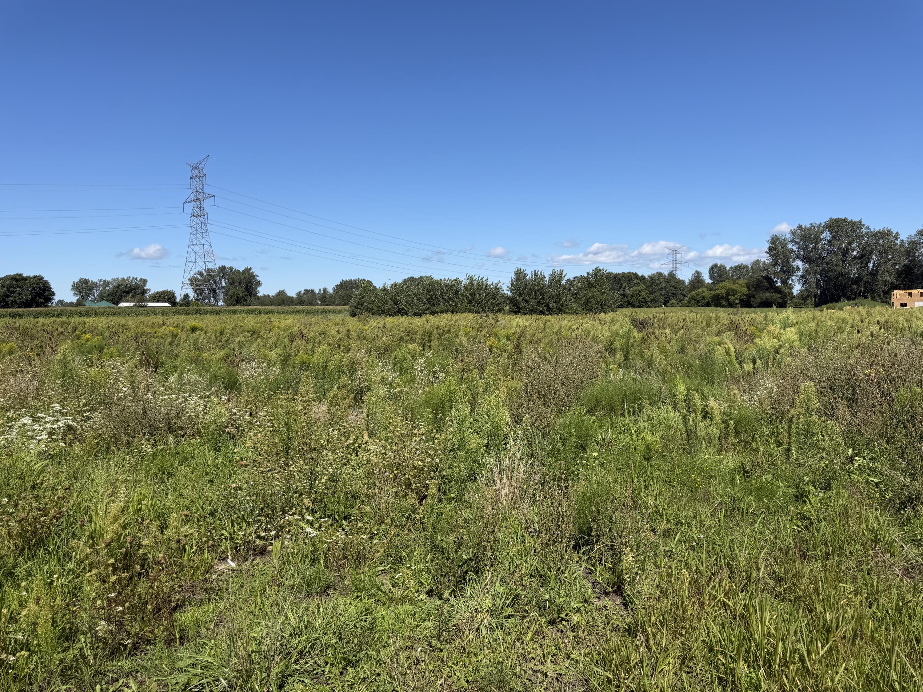 V/l Tyler Street Zeeland MI 49464