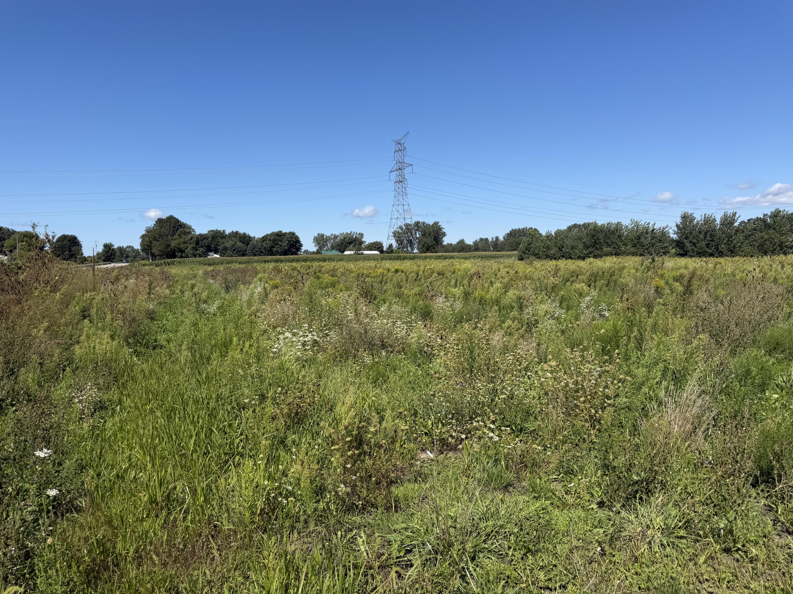 V/l Tyler Street Zeeland MI 49464