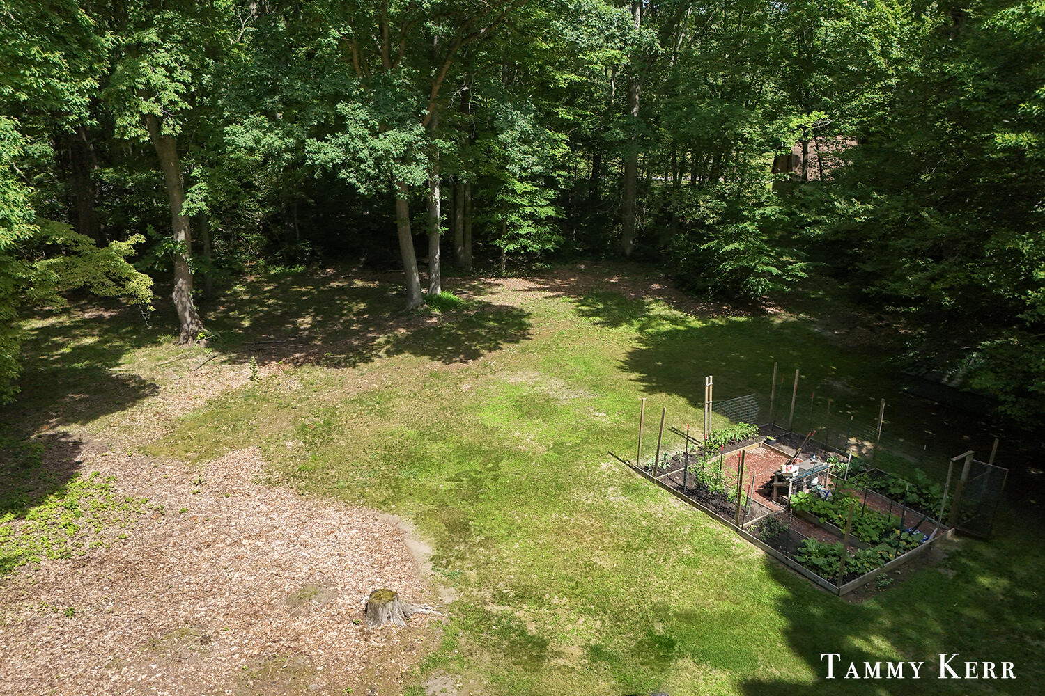 6059 Old Allegan Road Saugatuck MI 49453