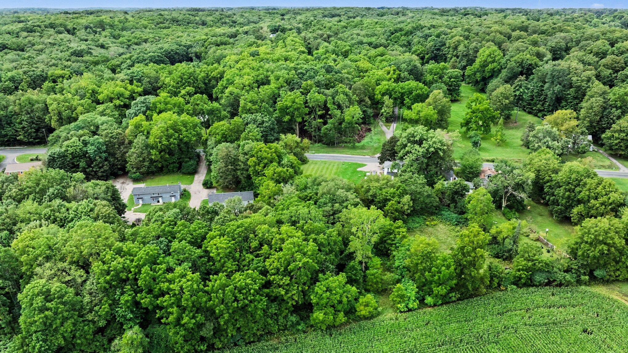 V/l Douglas Avenue Kalamazoo MI 49004