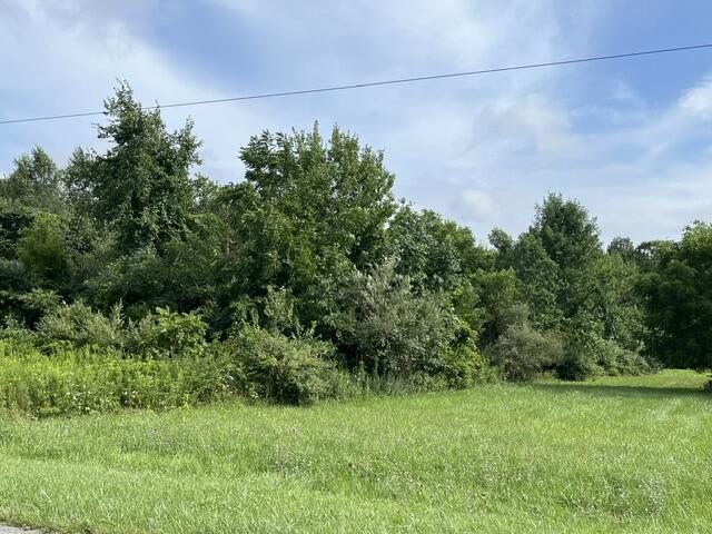 Little Paw Paw Lake Road Coloma MI 49038