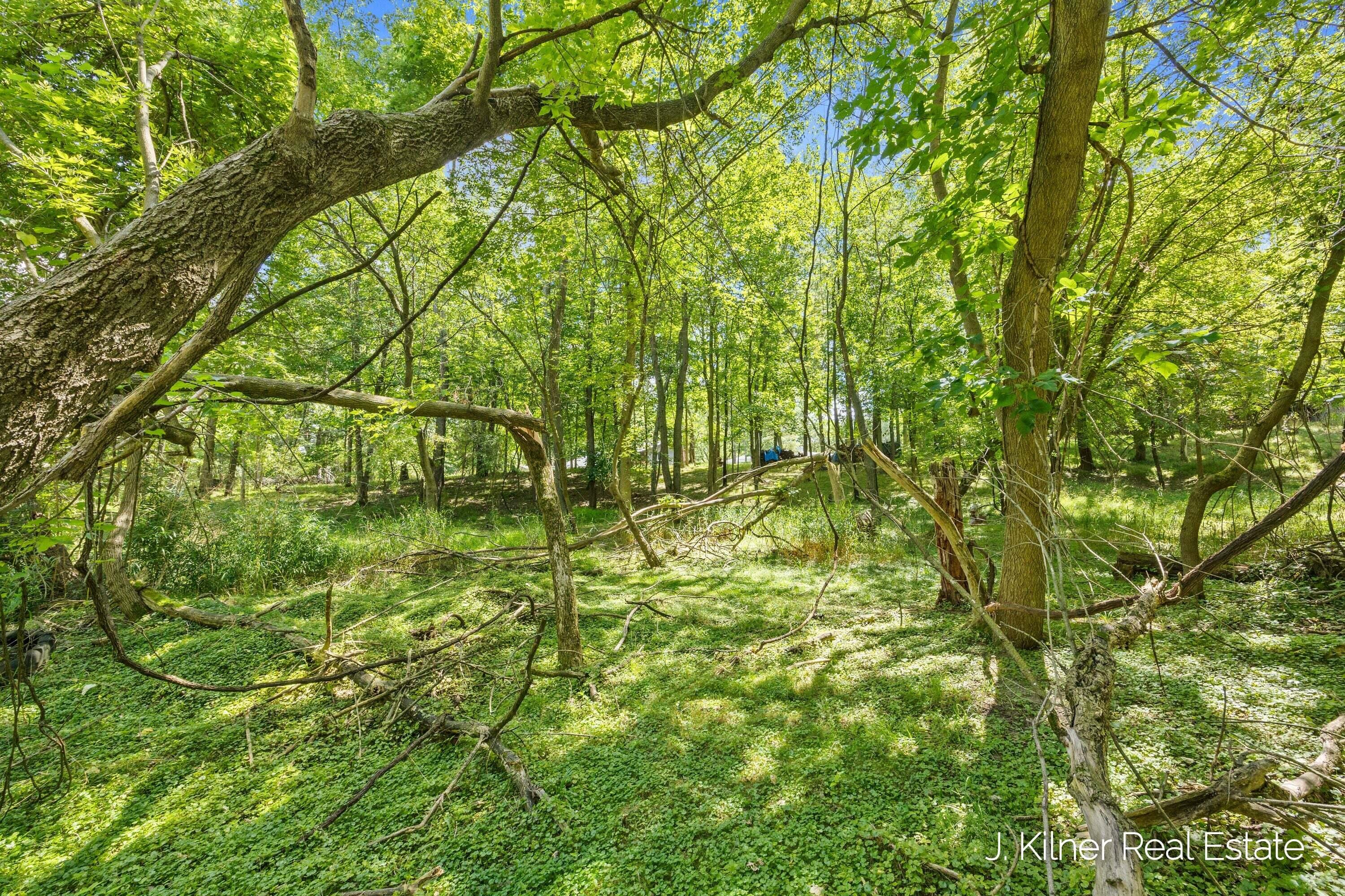 1859 Oakleigh Avenue NW Grand Rapids MI 49504