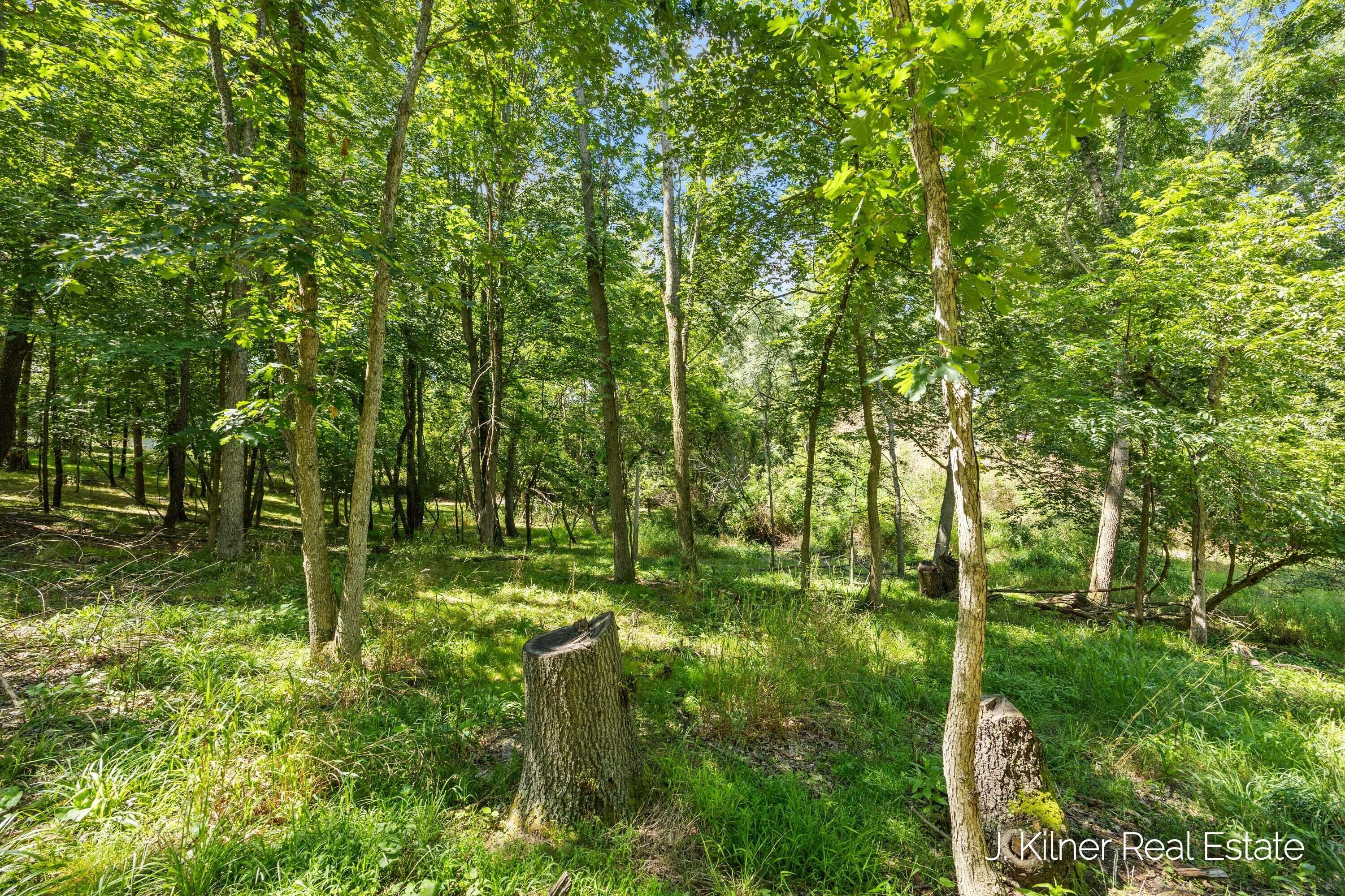 1859 Oakleigh Avenue NW Grand Rapids MI 49504