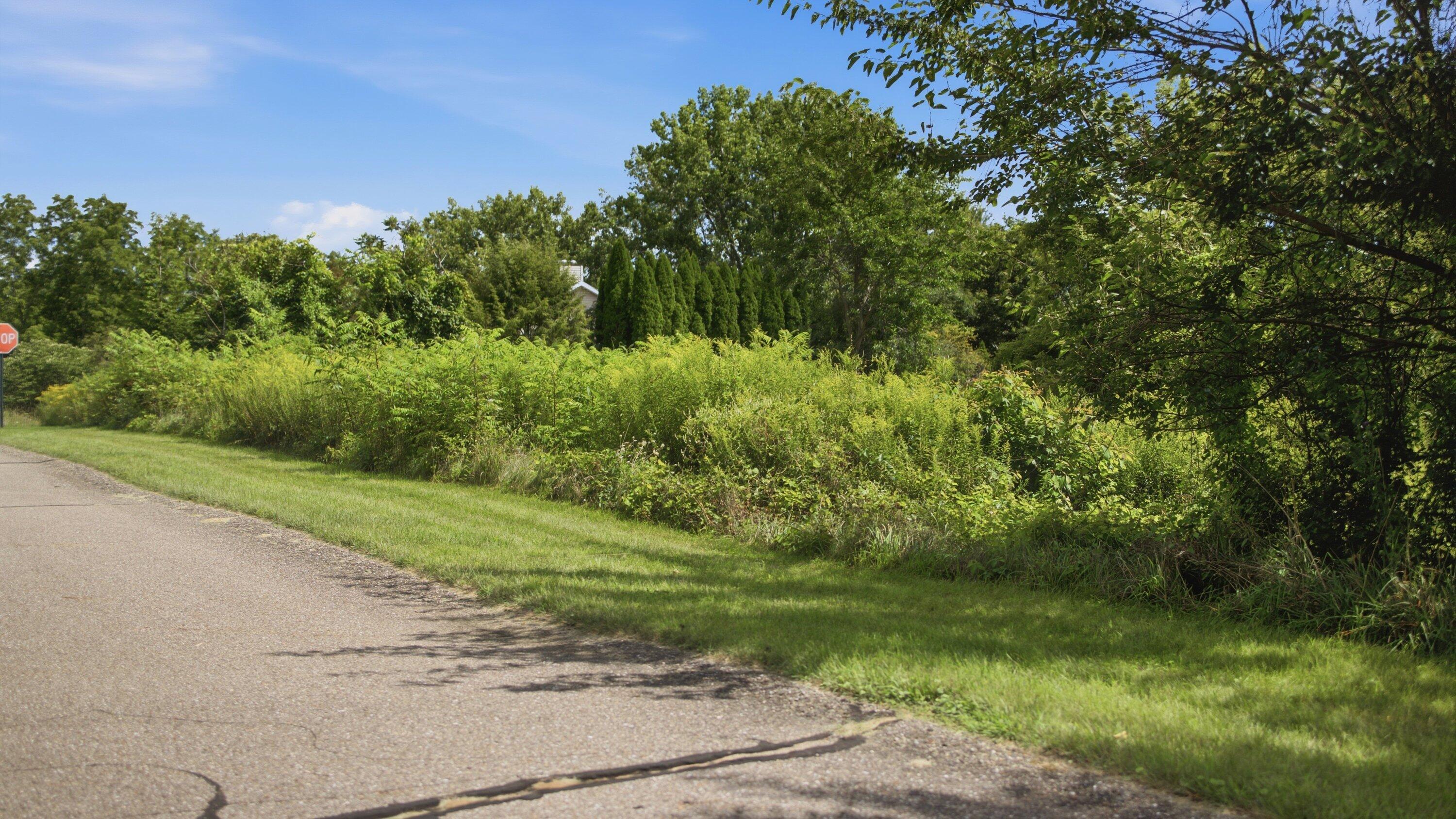2686 W Lakeland Drive Berrien Springs MI 49103