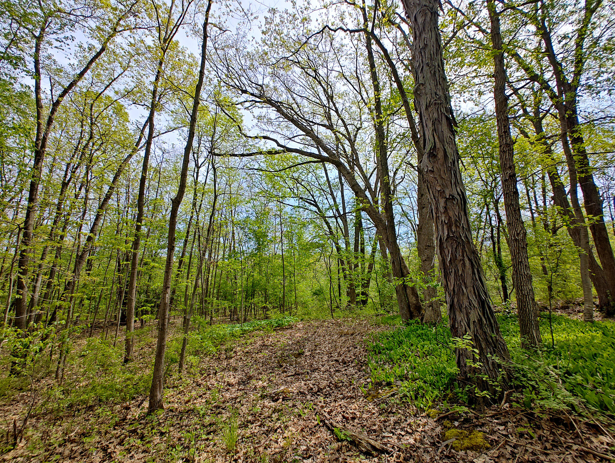 Vl Tipsico Lake Road Parcel A Fenton MI 48430