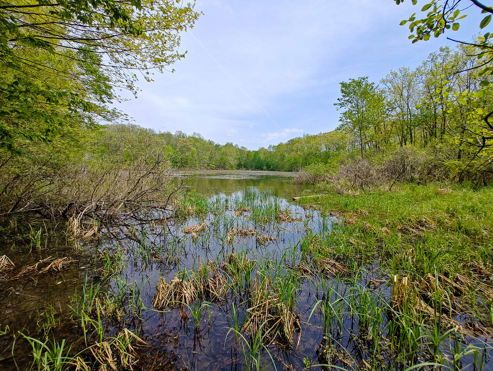 Vl Tipsico Lake Road Parcel A Fenton MI 48430