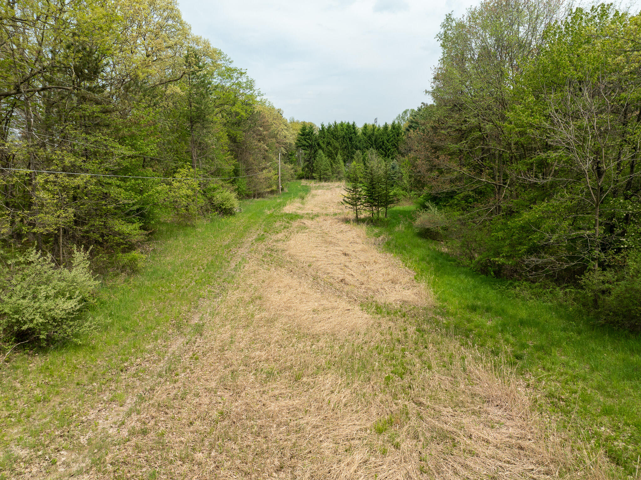 Vl Tipsico Lake Road Parcel A Fenton MI 48430