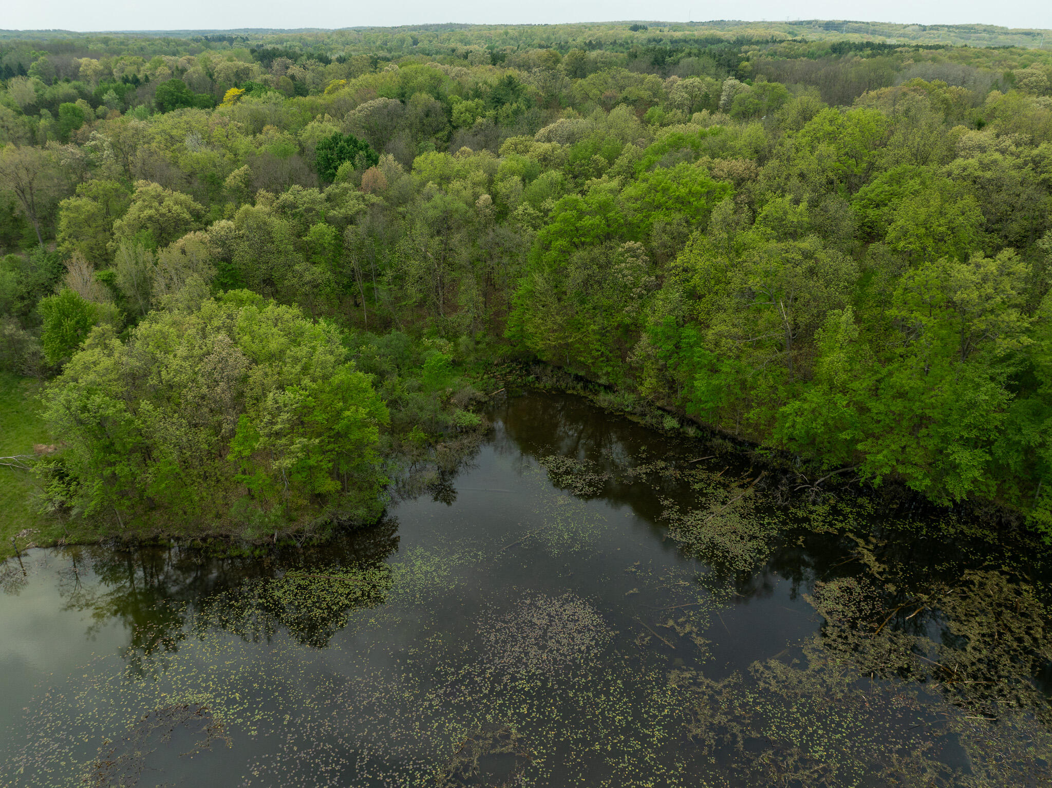 Vl Tipsico Lake Road Parcel A Fenton MI 48430