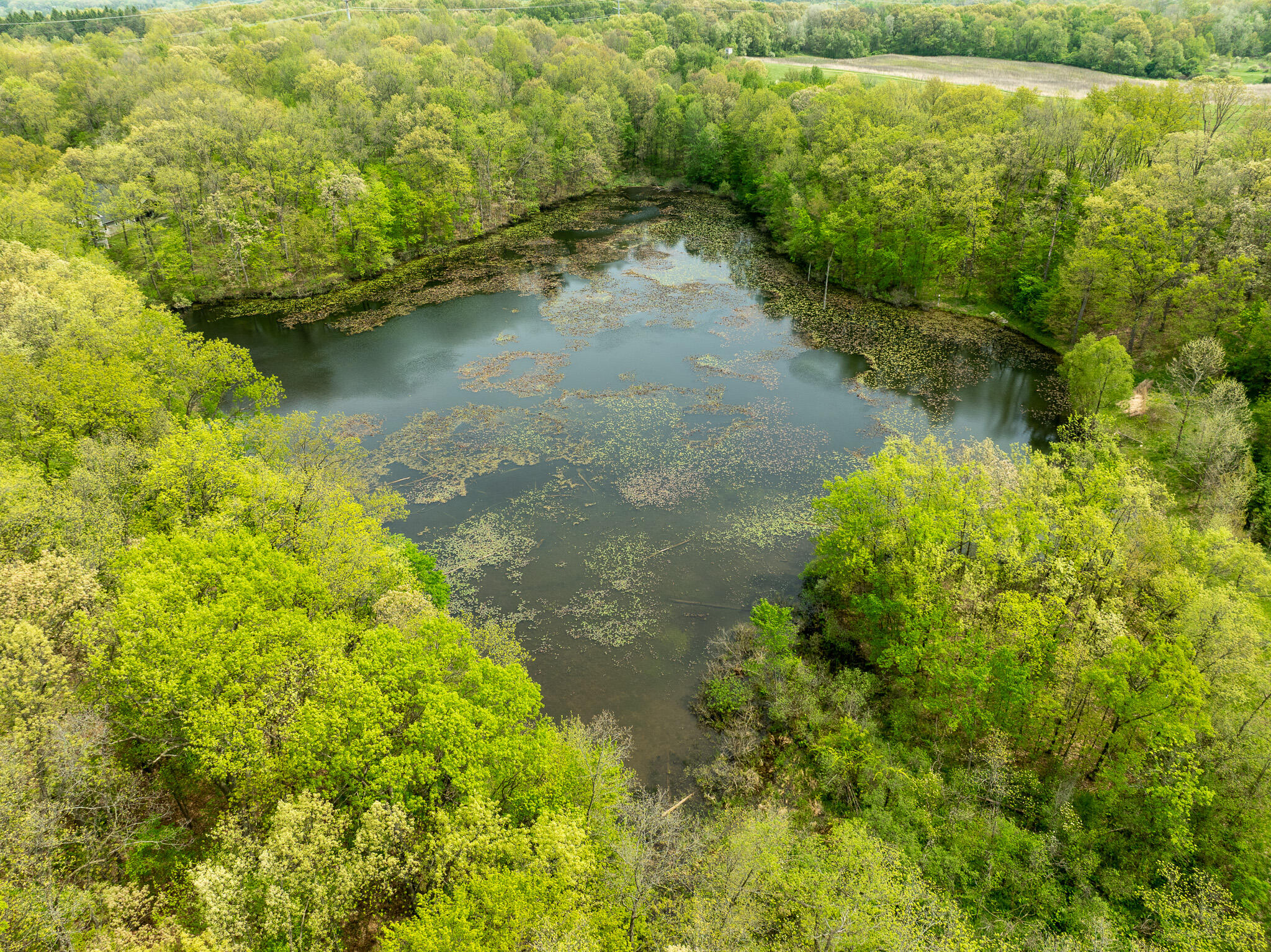 Vl Tipsico Lake Road Parcel A Fenton MI 48430