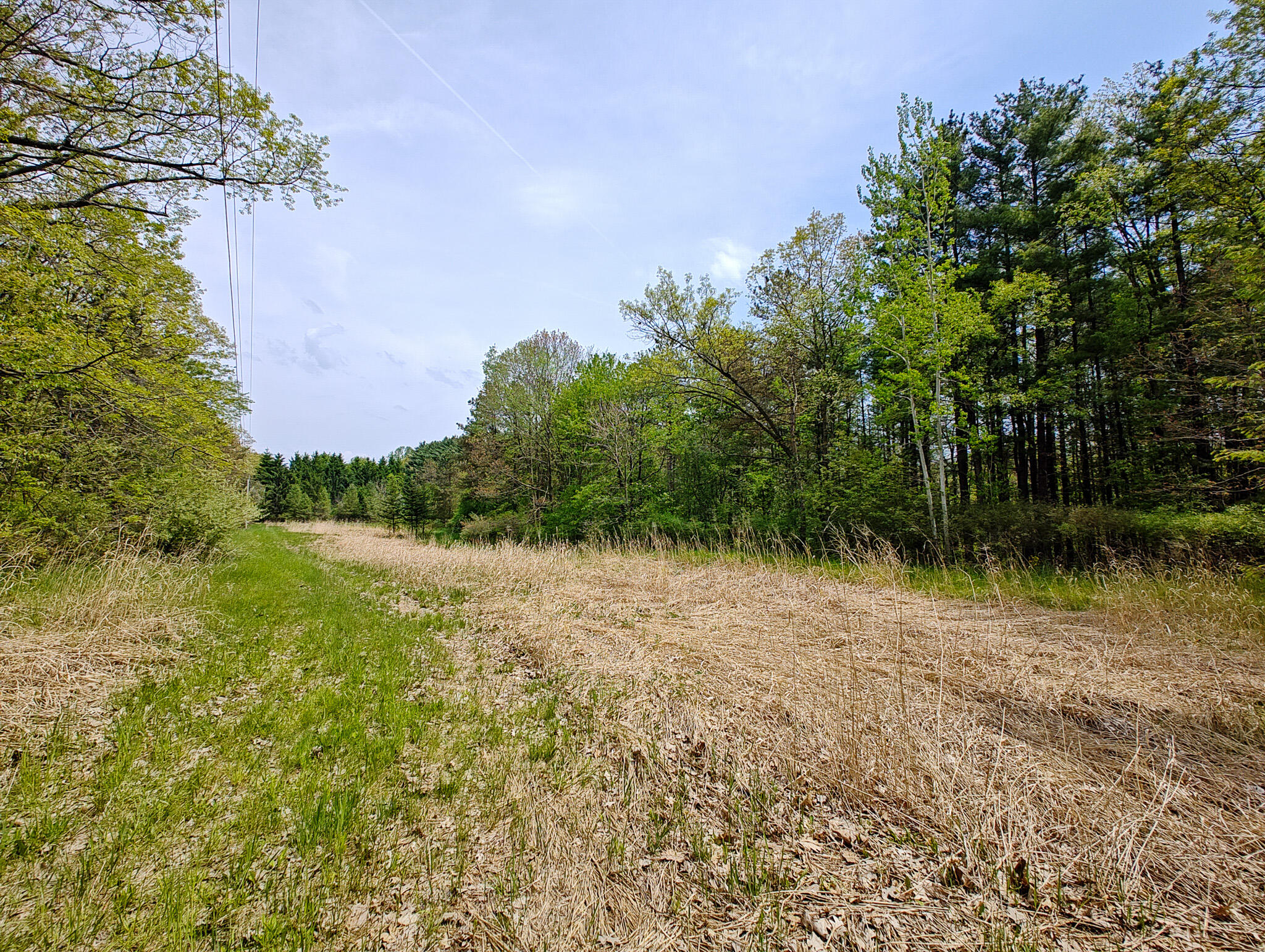 Vl Tipsico Lake Road Parcel A Fenton MI 48430