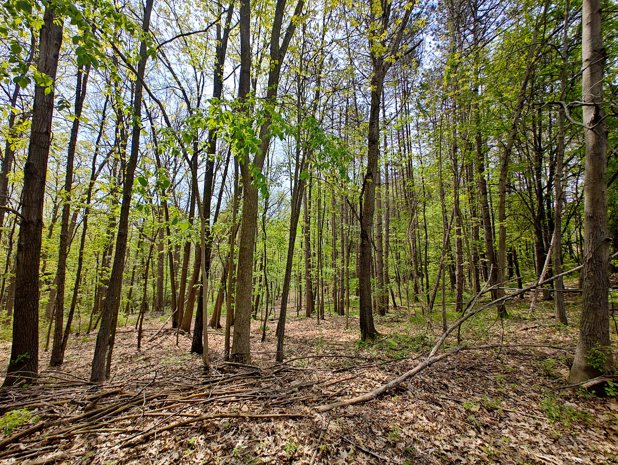 Vl Tipsico Lake Road Parcel A Fenton MI 48430