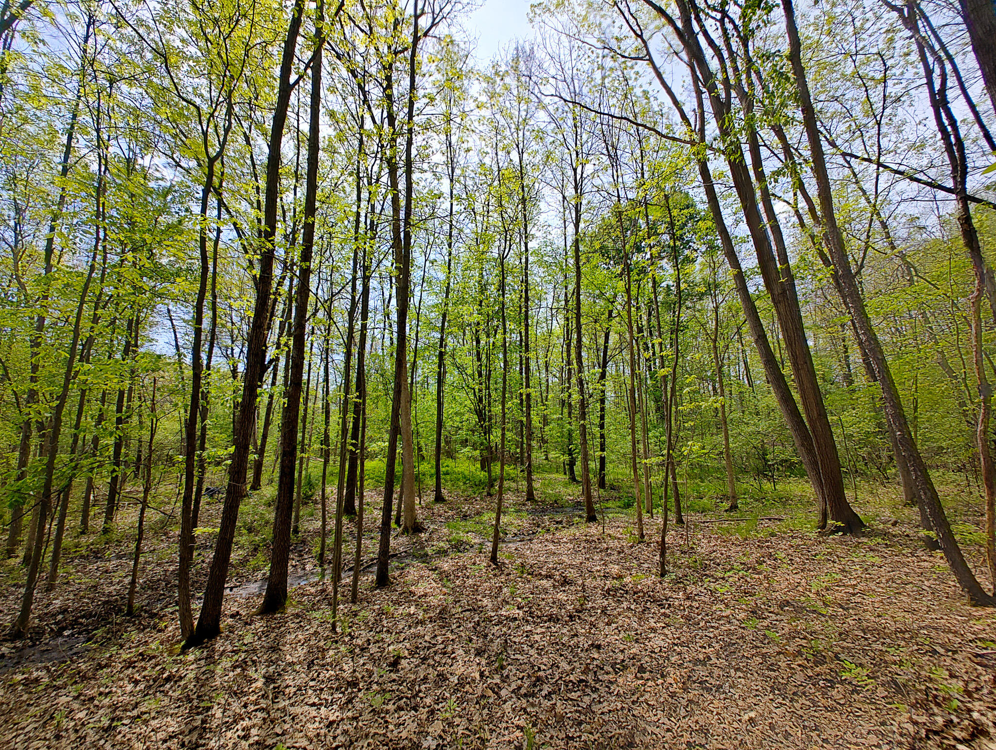 Vl Tipsico Lake Road Parcel A Fenton MI 48430