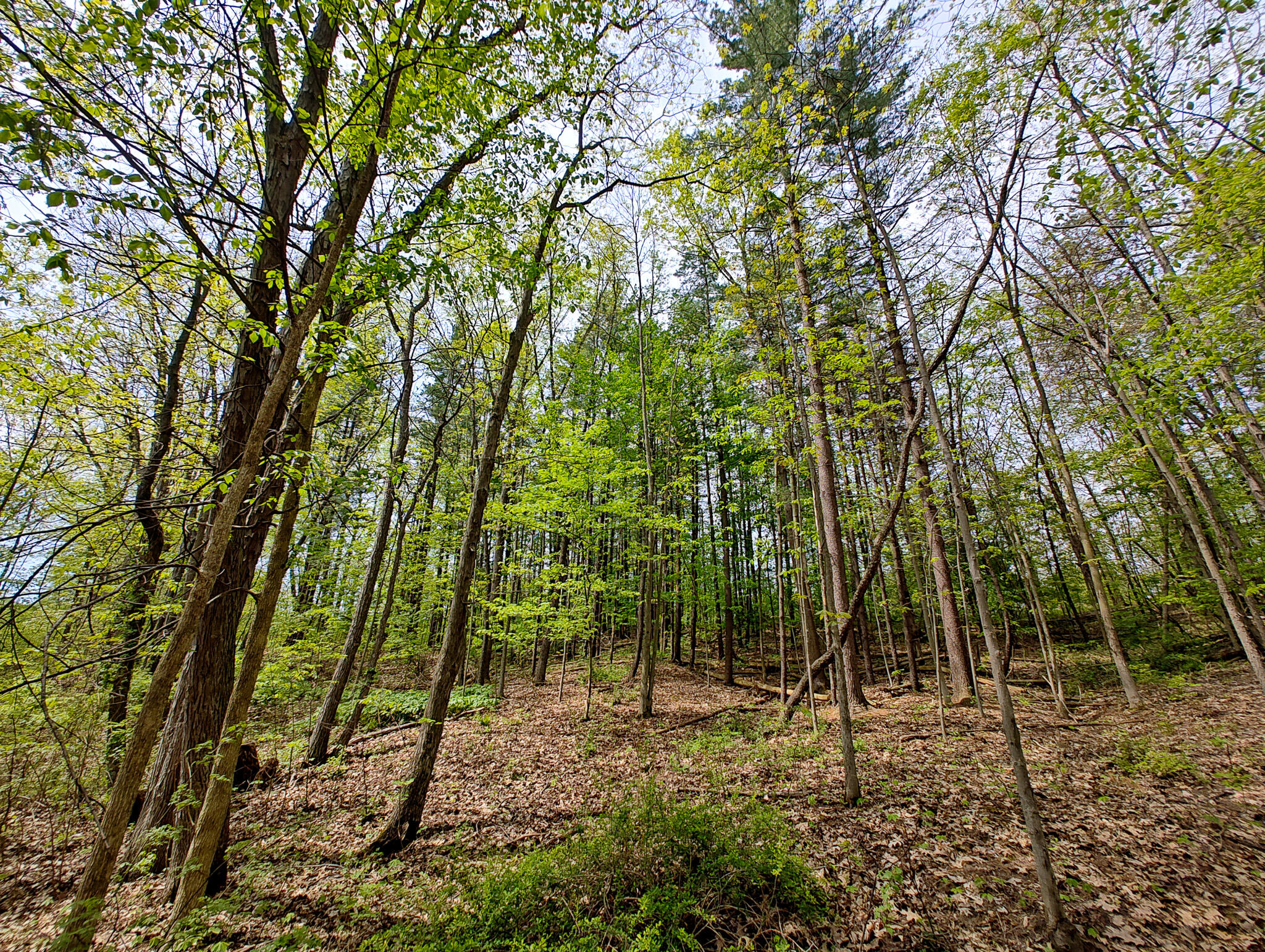 Vl Tipsico Lake Road Parcel A Fenton MI 48430