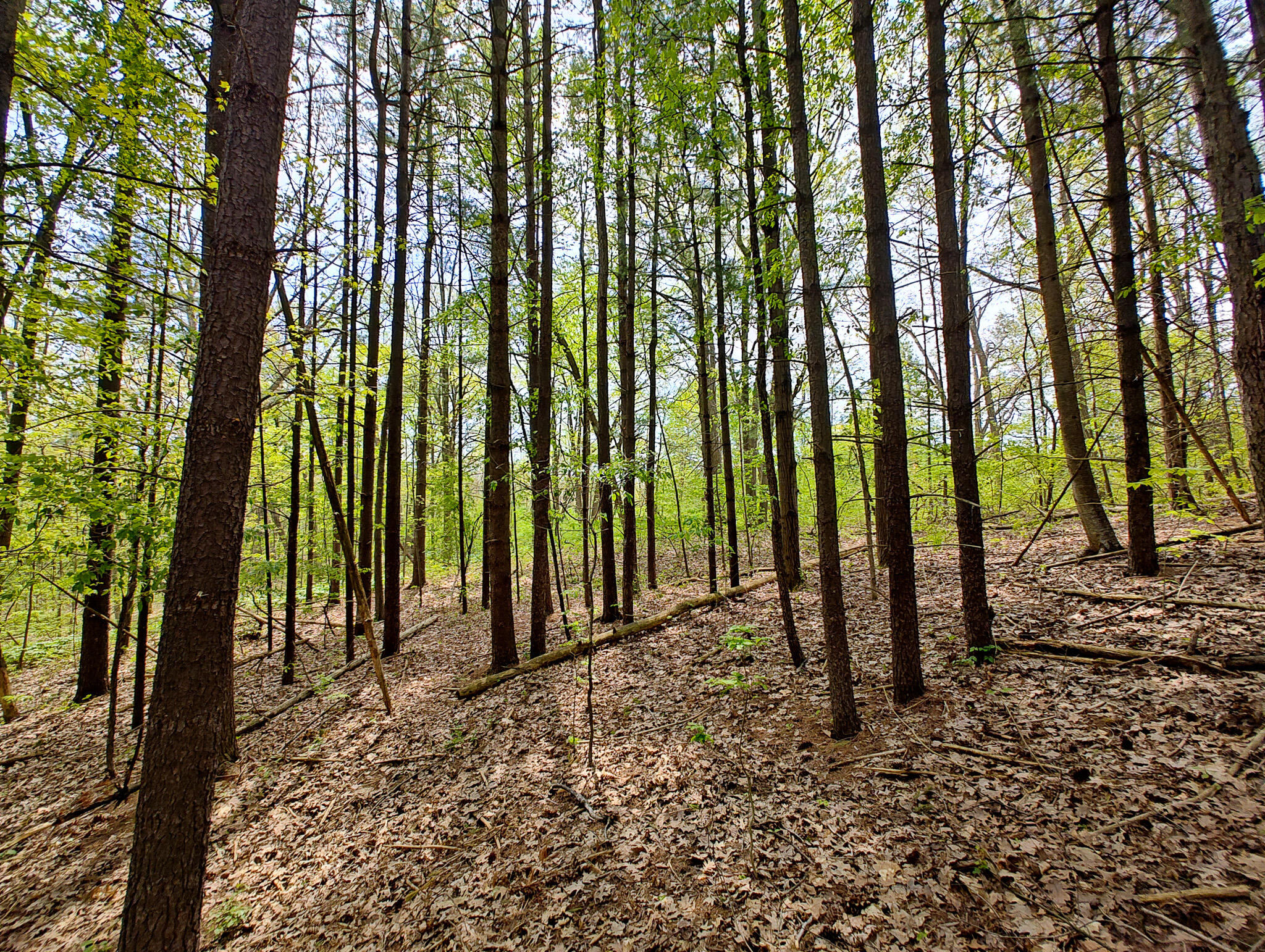 Vl Tipsico Lake Road Parcel A Fenton MI 48430