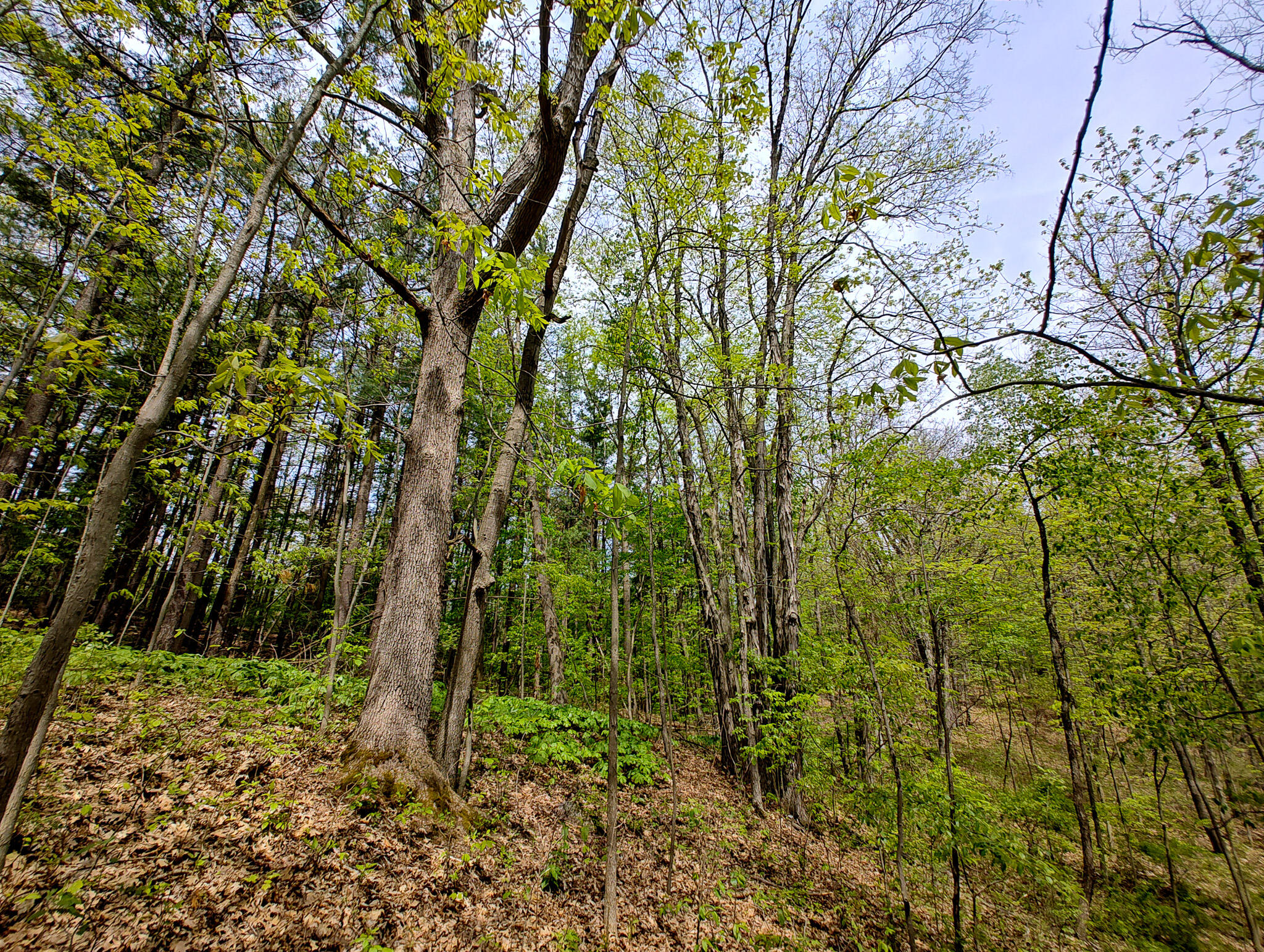 Vl Tipsico Lake Road Parcel A Fenton MI 48430