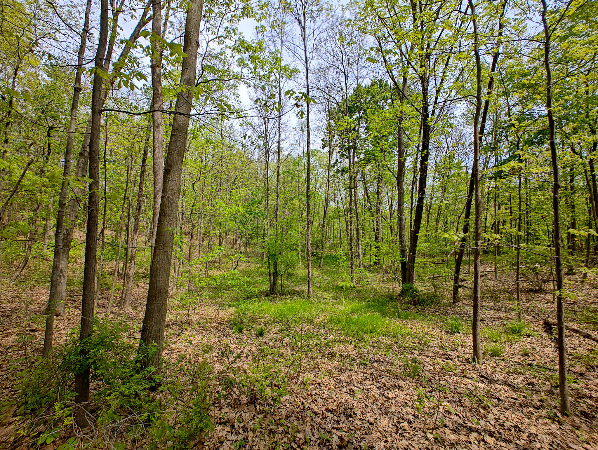 Vl Tipsico Lake Road Parcel A Fenton MI 48430