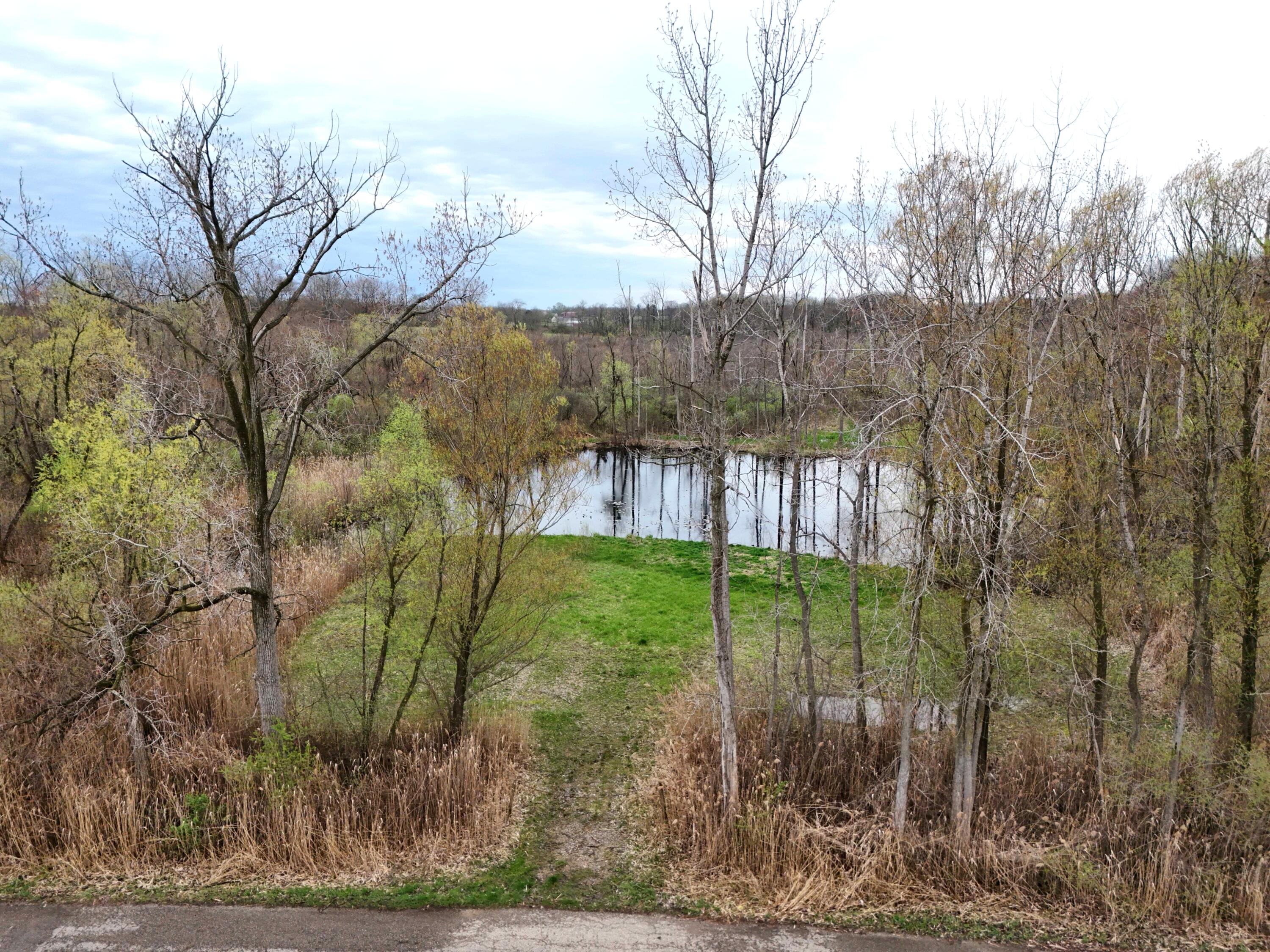 Tulip Tree Lane Cassopolis MI 49031