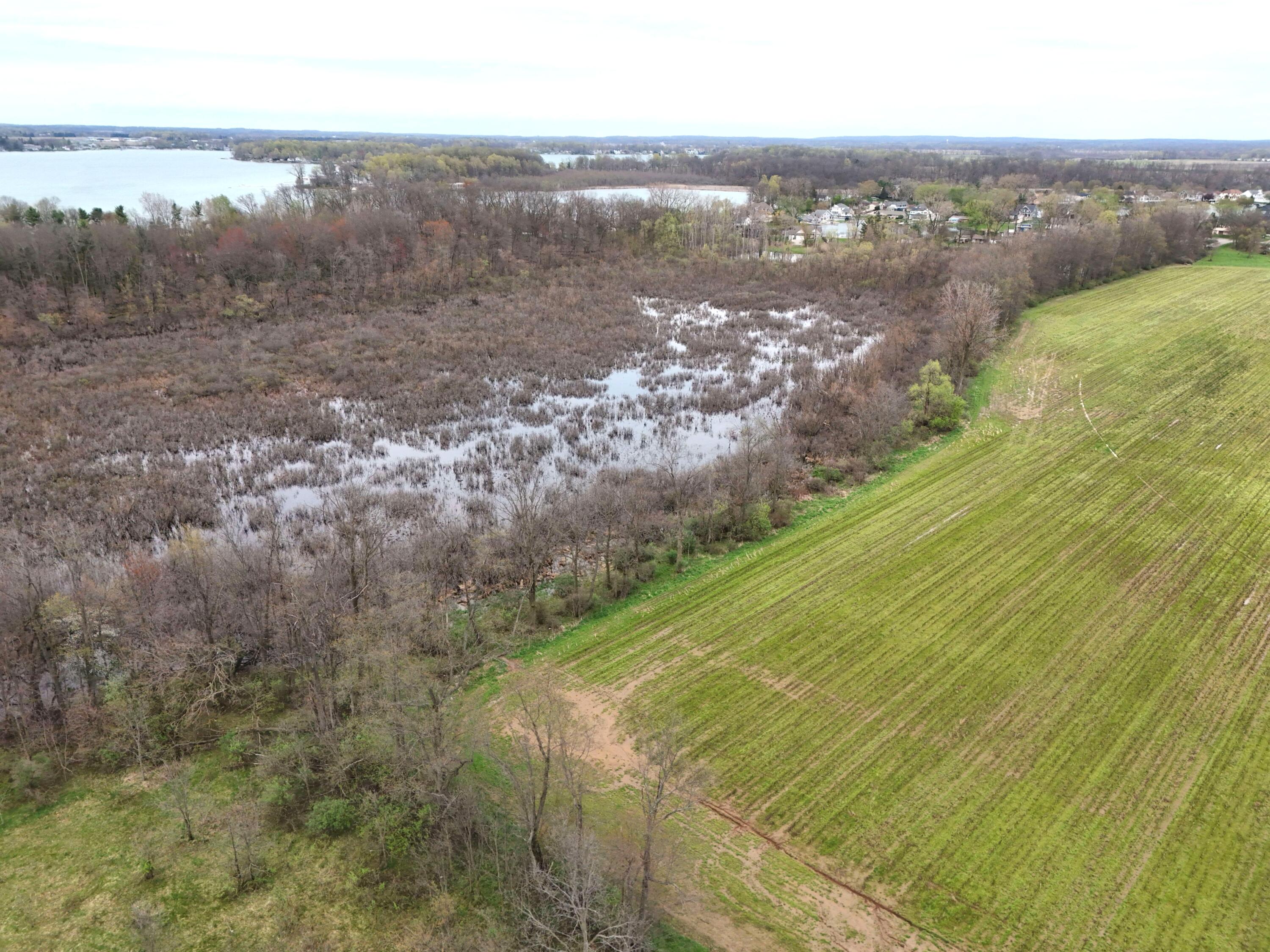 Tulip Tree Lane Cassopolis MI 49031
