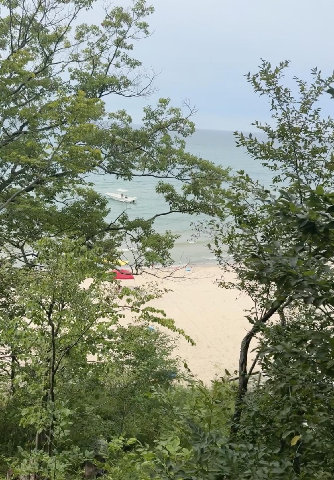 7368 Beachview Drive South Haven MI 49090