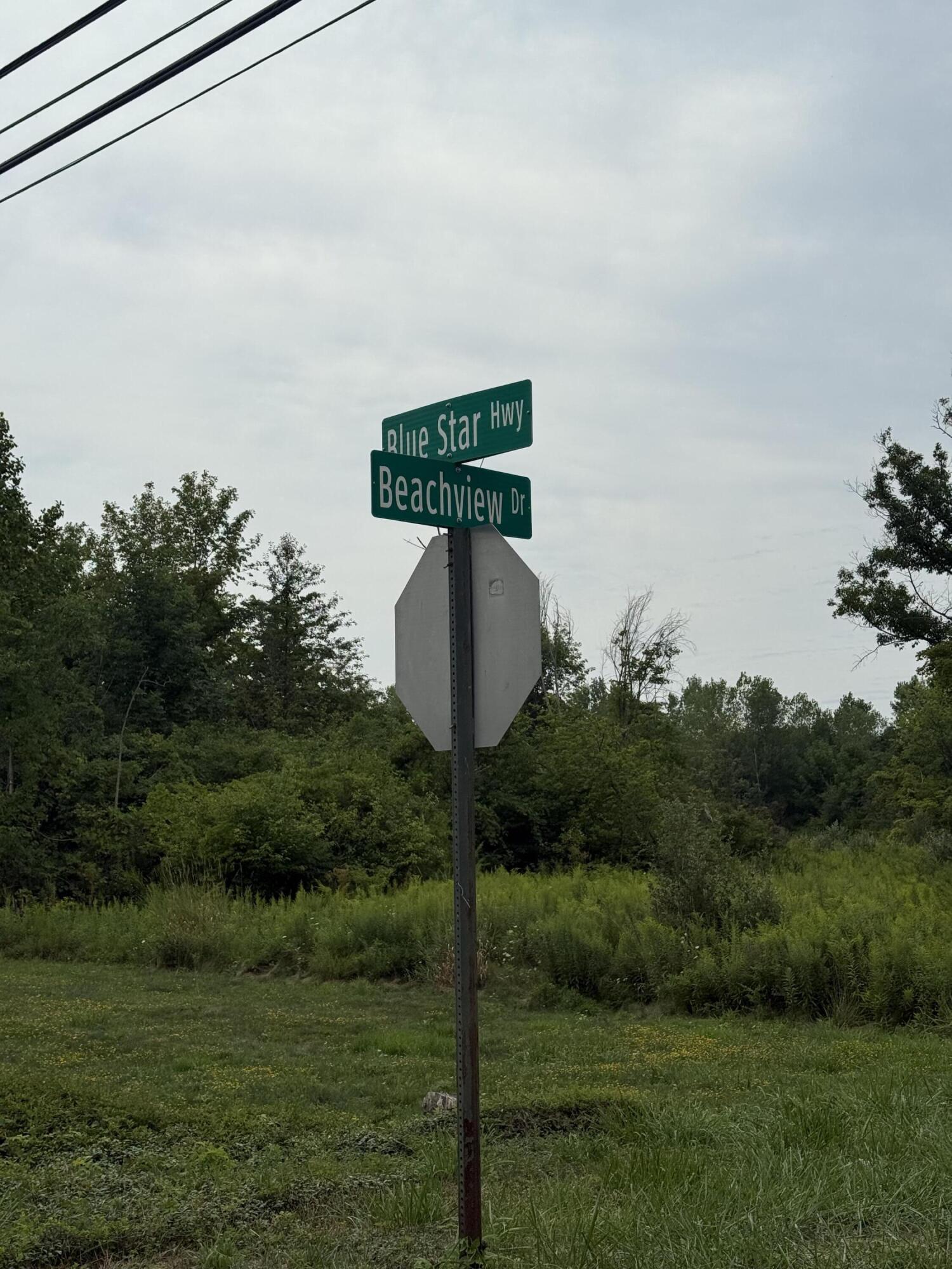 7368 Beachview Drive South Haven MI 49090