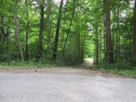 5753 Jackson Street Coloma MI 49038
