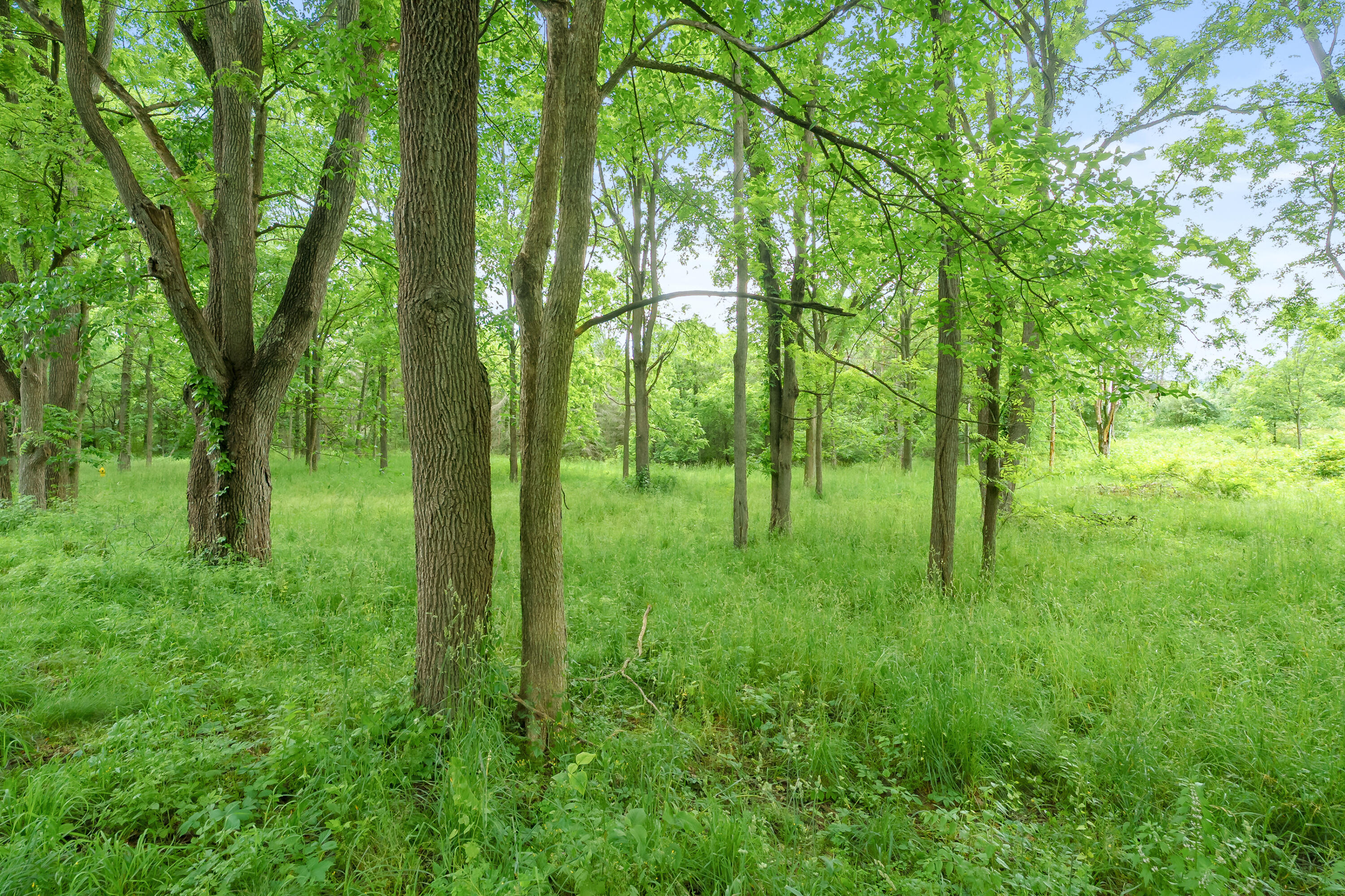 6926 W H Avenue Kalamazoo MI 49009
