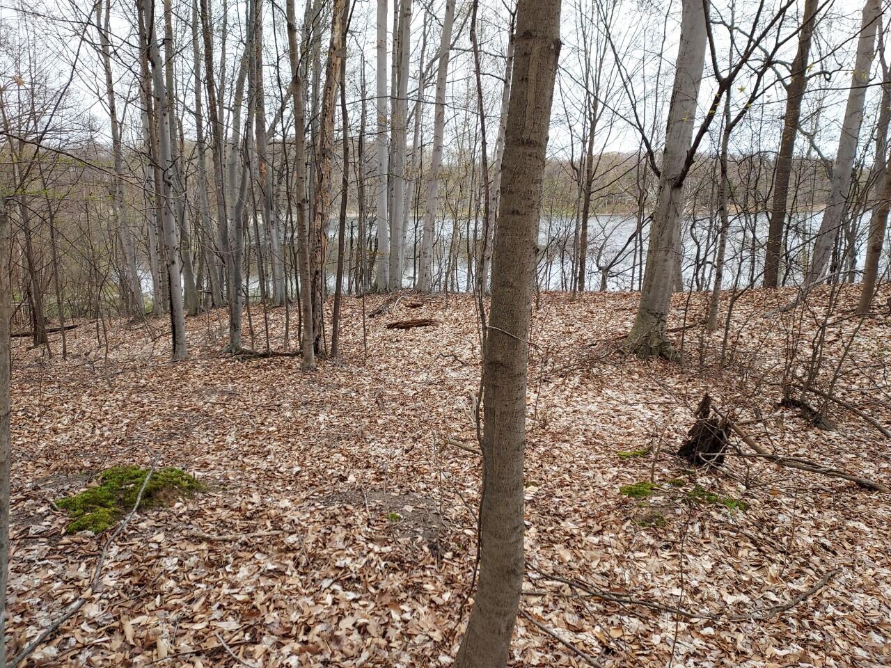 5424 W Oak Point Road Ludington MI 49431