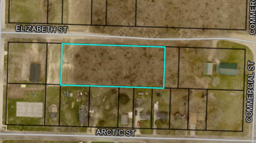 406 Elizabeth Street Buchanan MI 49107
