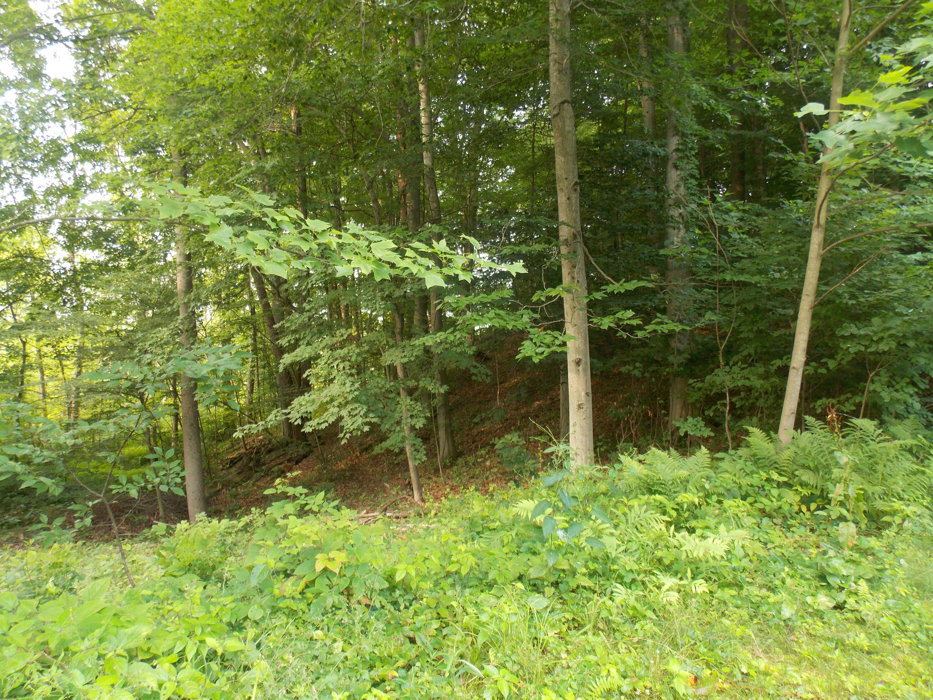 Lot #10 Long Lake Drive Cassopolis MI 49031